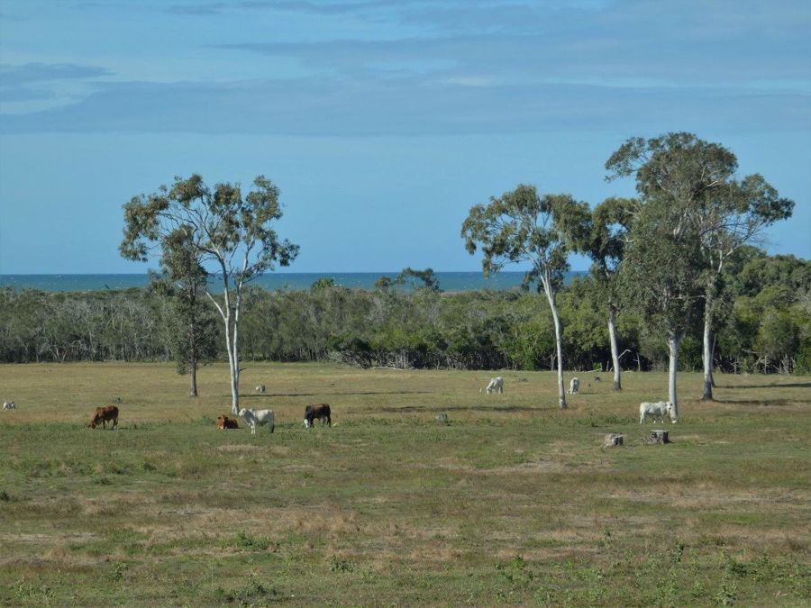 Lot 1 Fingerfield Road, Rules Beach QLD 4674, Image 0