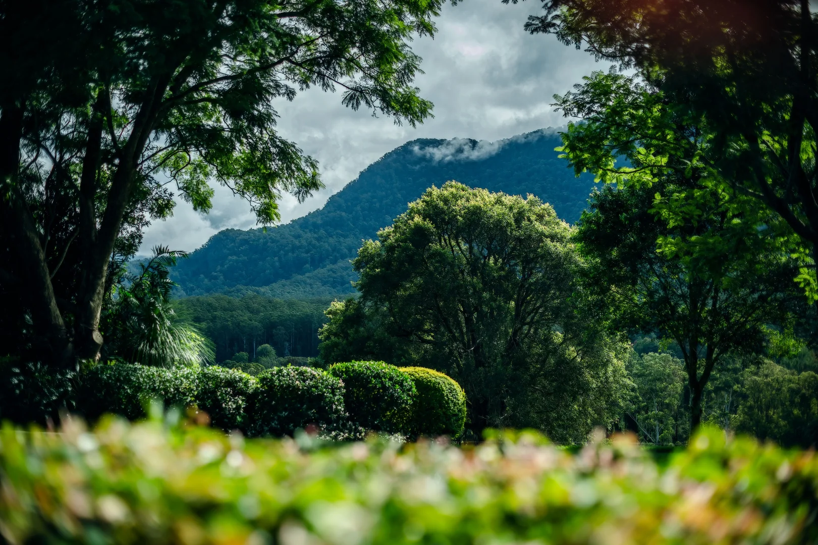 Additional image 5 of 2165 Waterfall Way, Thora NSW 2454