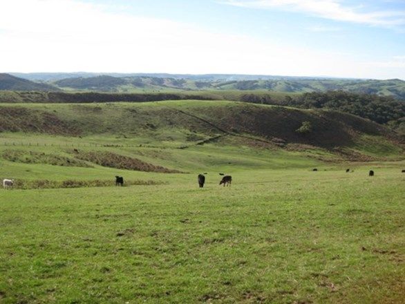 Lot 201 Springmount Road, Myponga SA 5202, Image 0