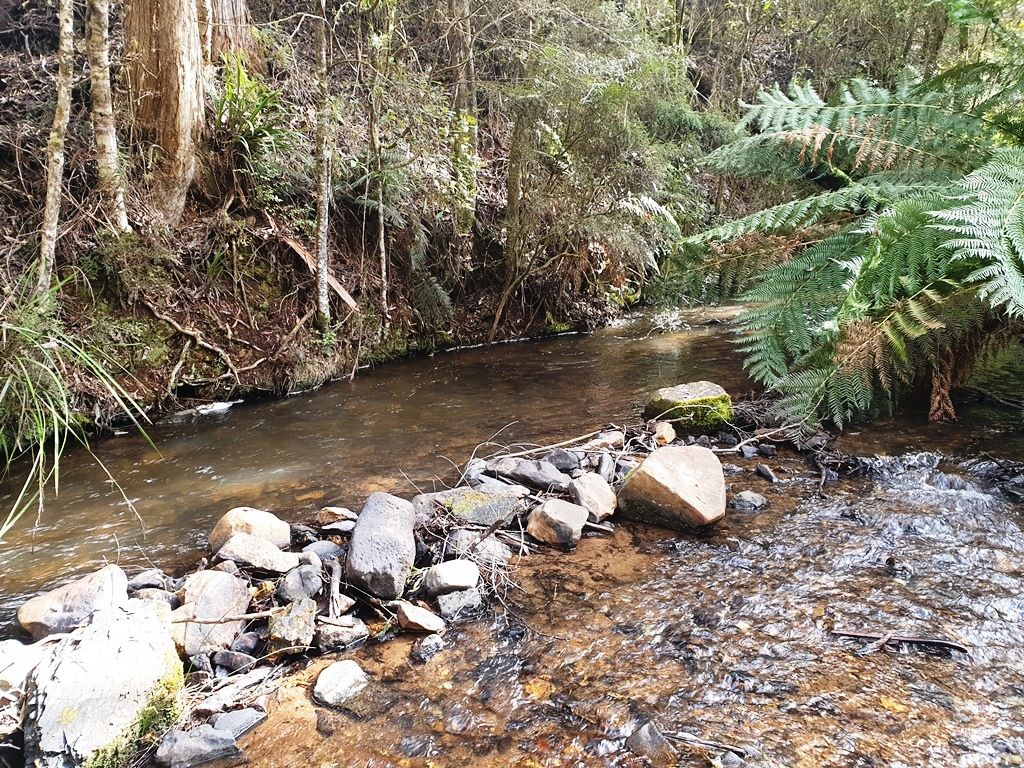 42 Bilsons Road, Irishtown TAS 7330 House for Sale Domain