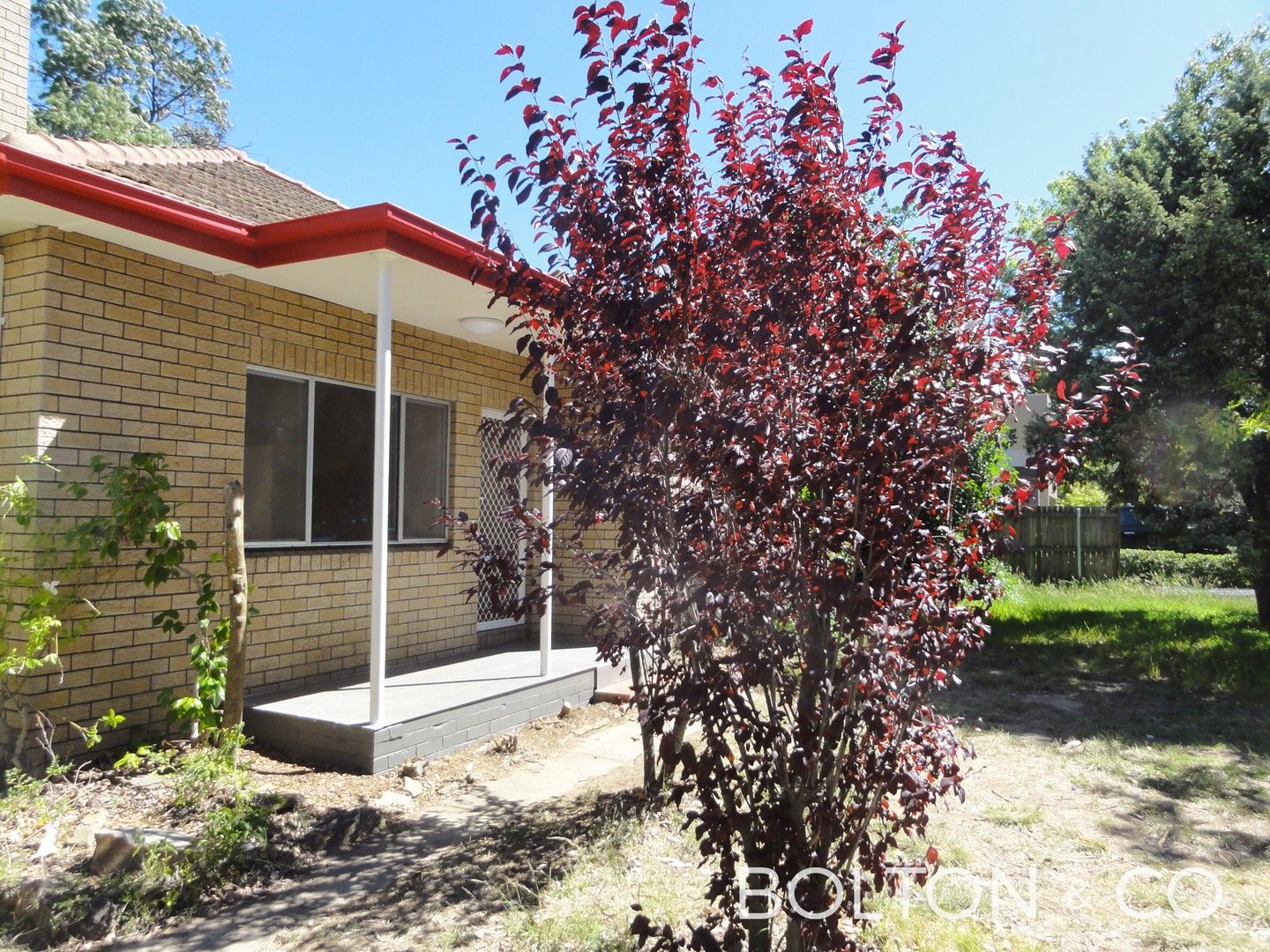 3 bedrooms House in 54 David Street TURNER ACT, 2612