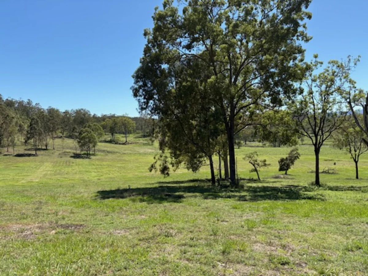 Image 12