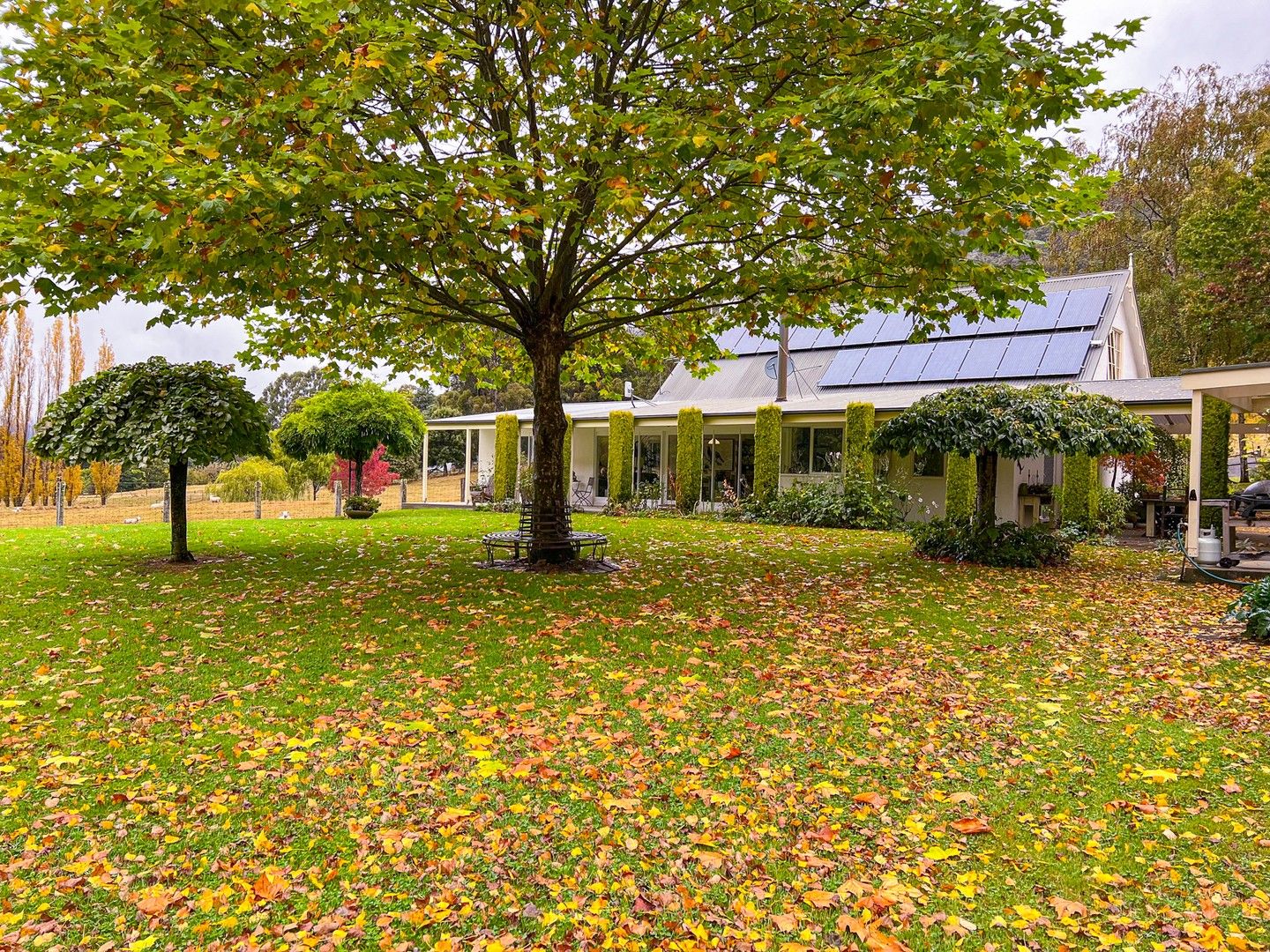 310 Bakers Creek Road, Lucaston TAS 7109 House for Sale Domain