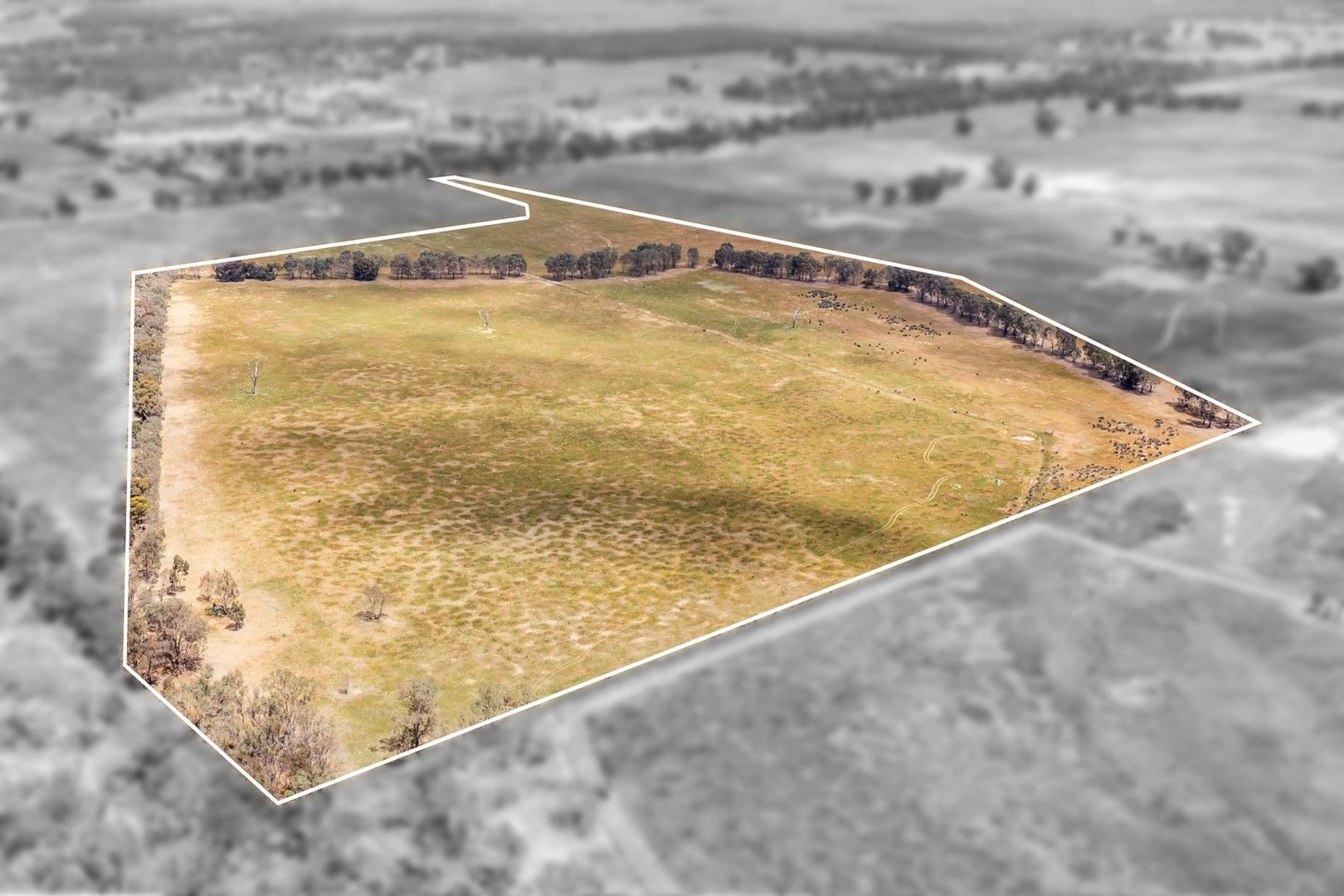 Rural in 303 Pethericks Road, GOORNONG VIC, 3557