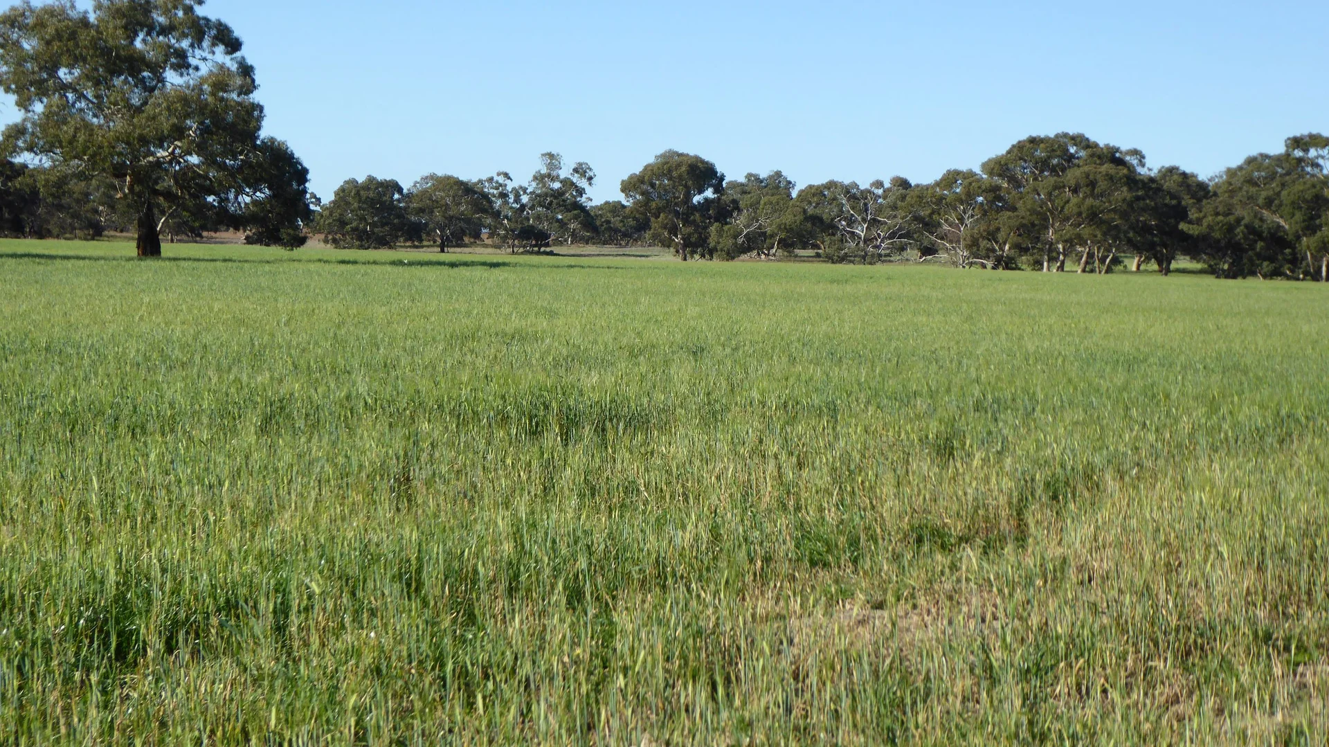 Image 13