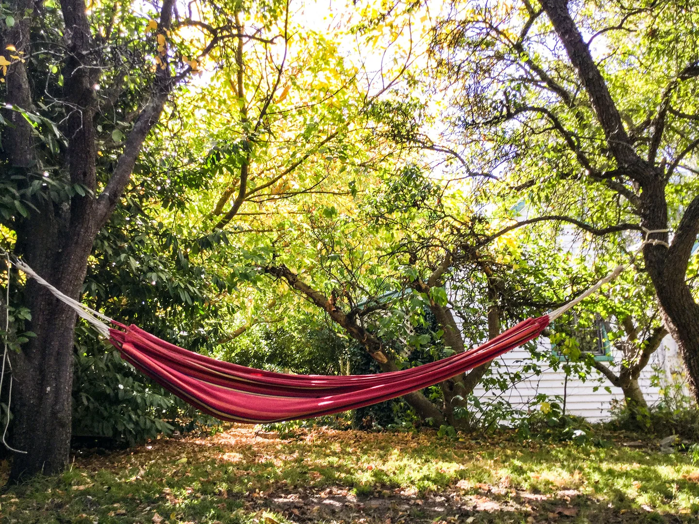 Additional image 21 of 180 Golden Point Road, Golden Point VIC 3451