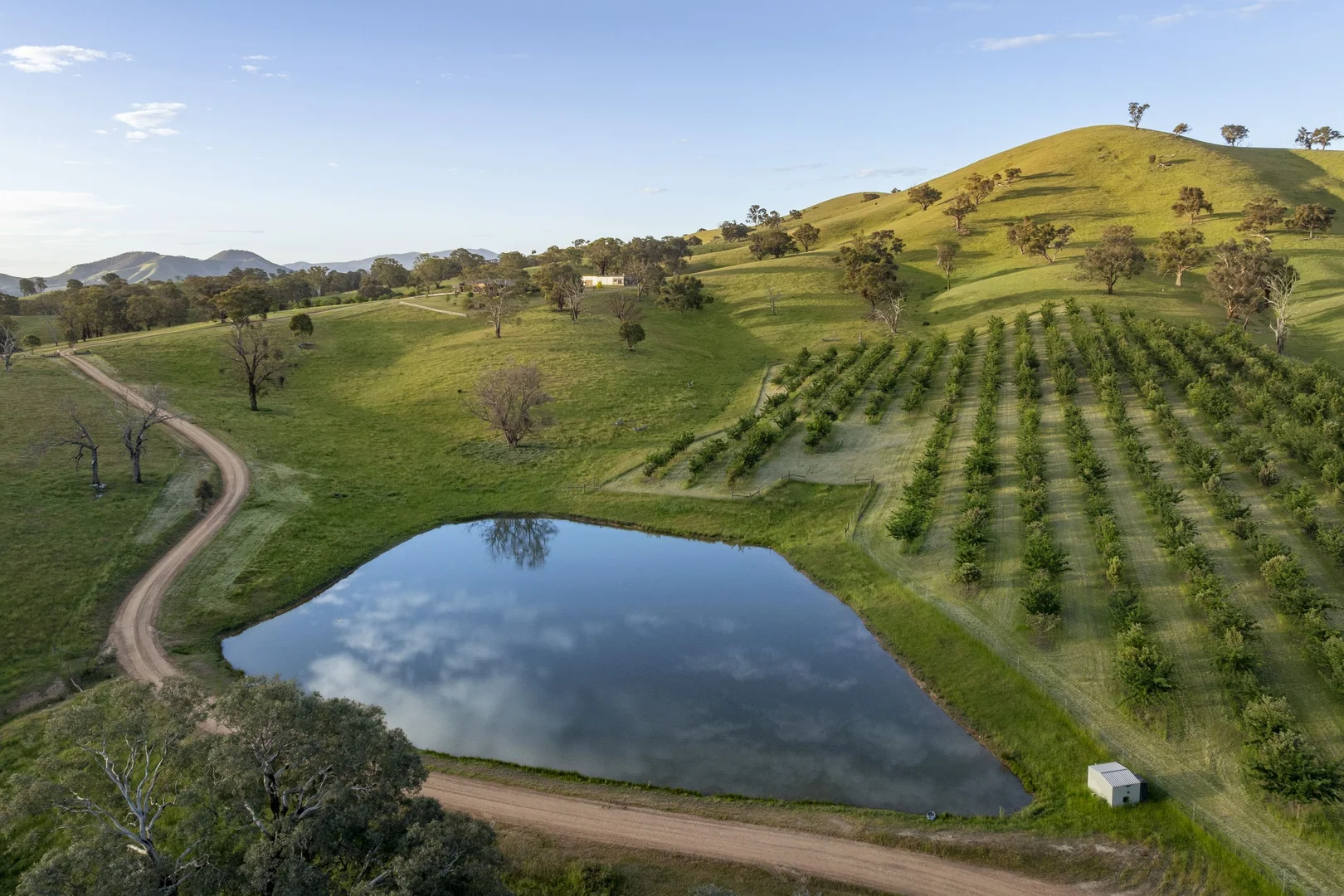 Additional image 4 of 606 Monkey Gully Road, Mansfield VIC 3722