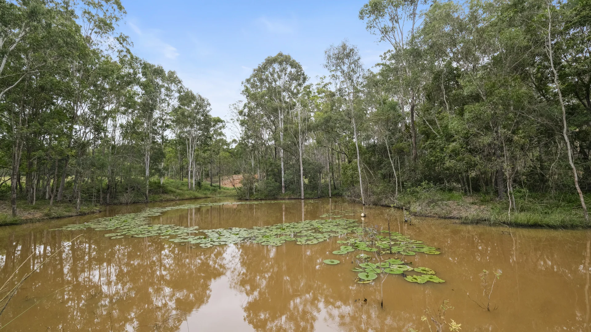 Additional image 10 of 244 St Kilda Road, Tirroan QLD 4671