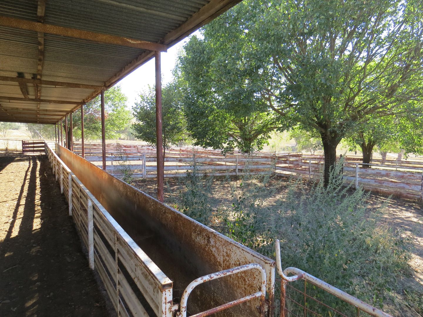 'Wooltop' Lachlan Valley Way, Cowra NSW 2794, Image 1