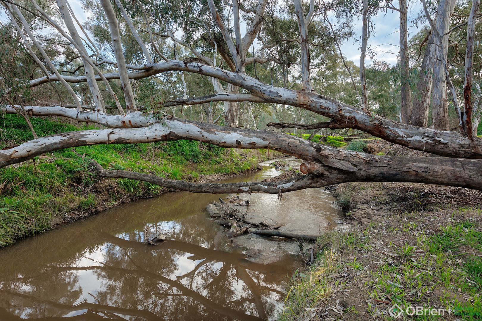 23 Indigo Drive, Barnawartha VIC 3688 Domain
