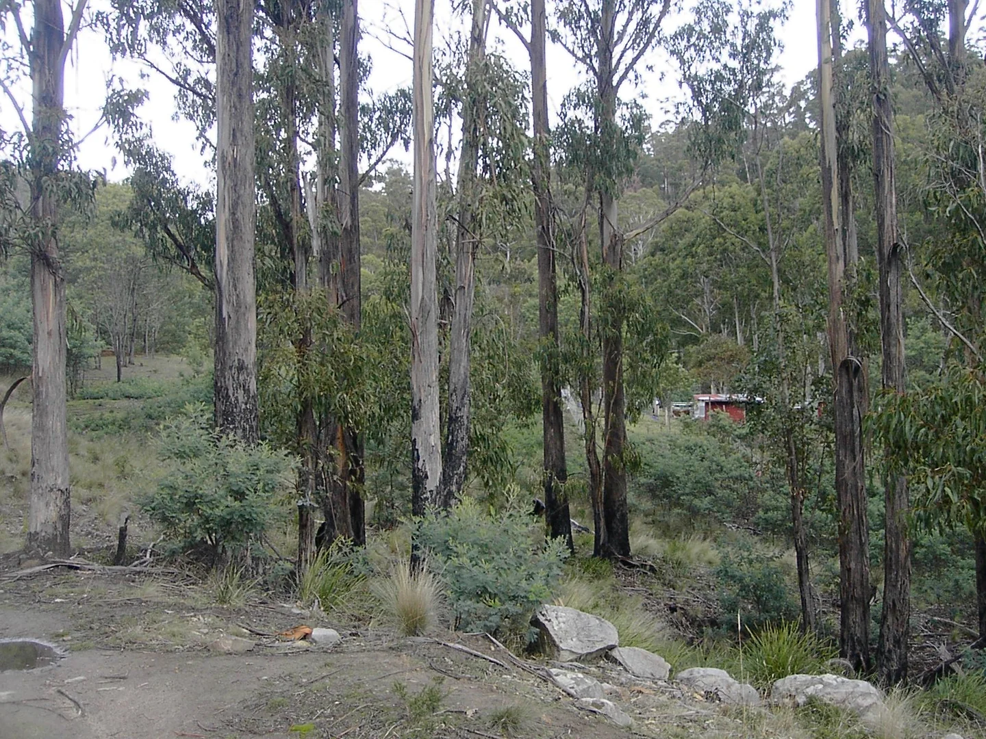 Additional image 5 of 420 Springhill Bottom Road, Colebrook TAS 7027