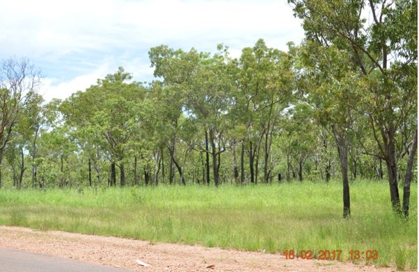 Vacant land in 135 Daly River Rd, ADELAIDE RIVER NT, 0846