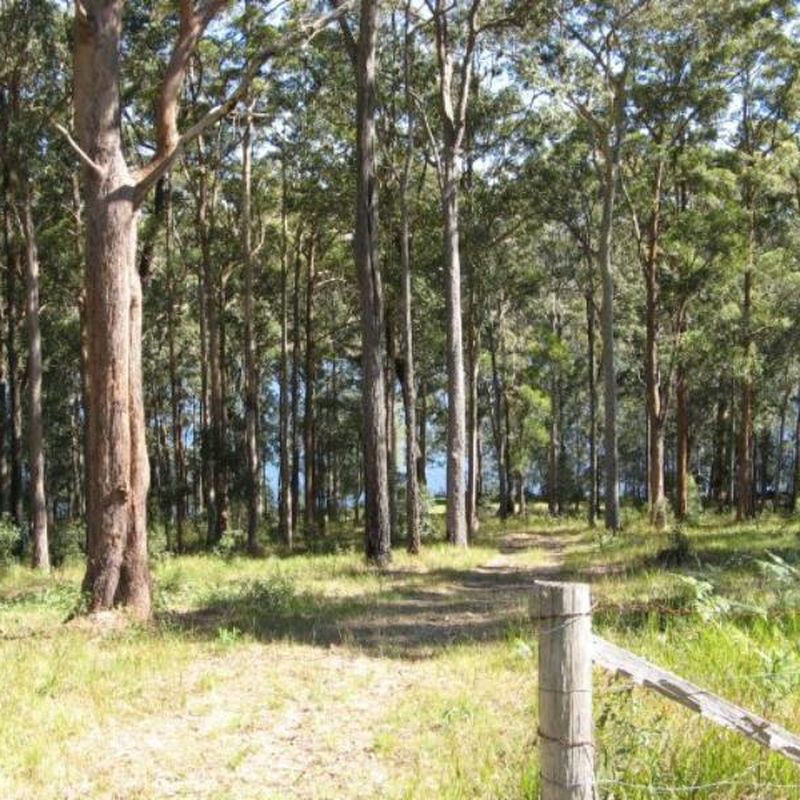 Pacific Palms NSW 2428 3 beds house for Sale, Guide 1.5m