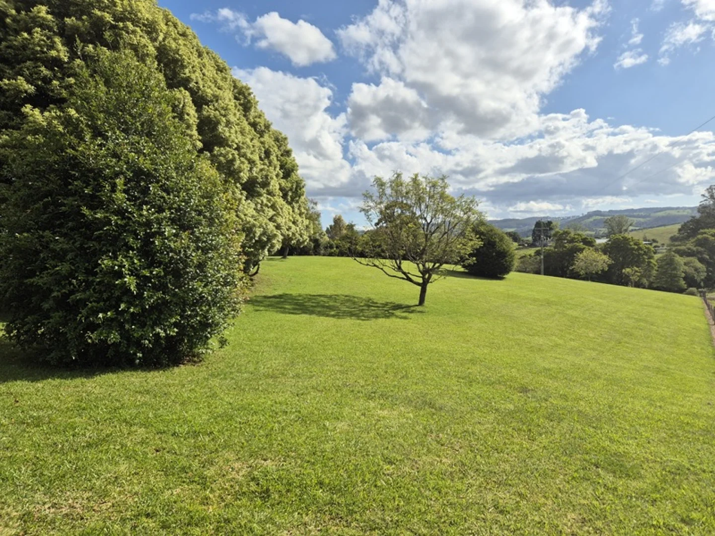 Image 22