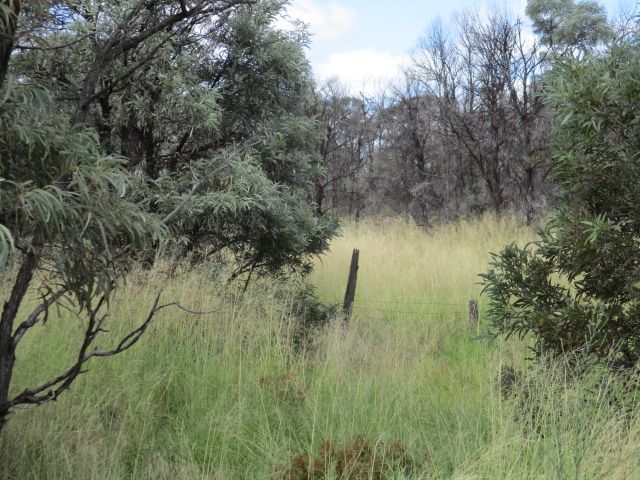 Lot 9 Western Road, Tara QLD 4421, Image 2