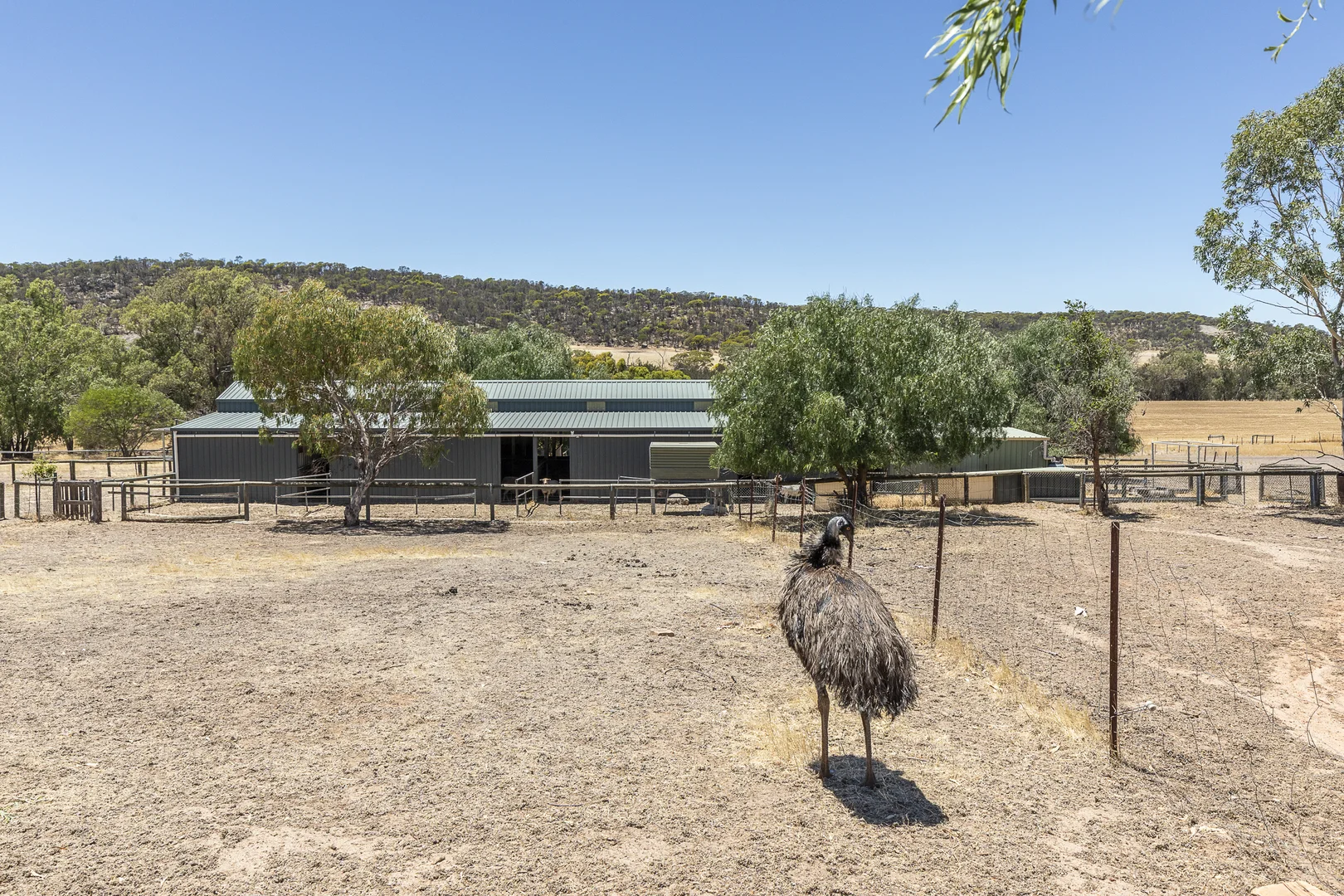 Additional image 47 of 5895 Great Southern Highway Gilgering, York WA 6302