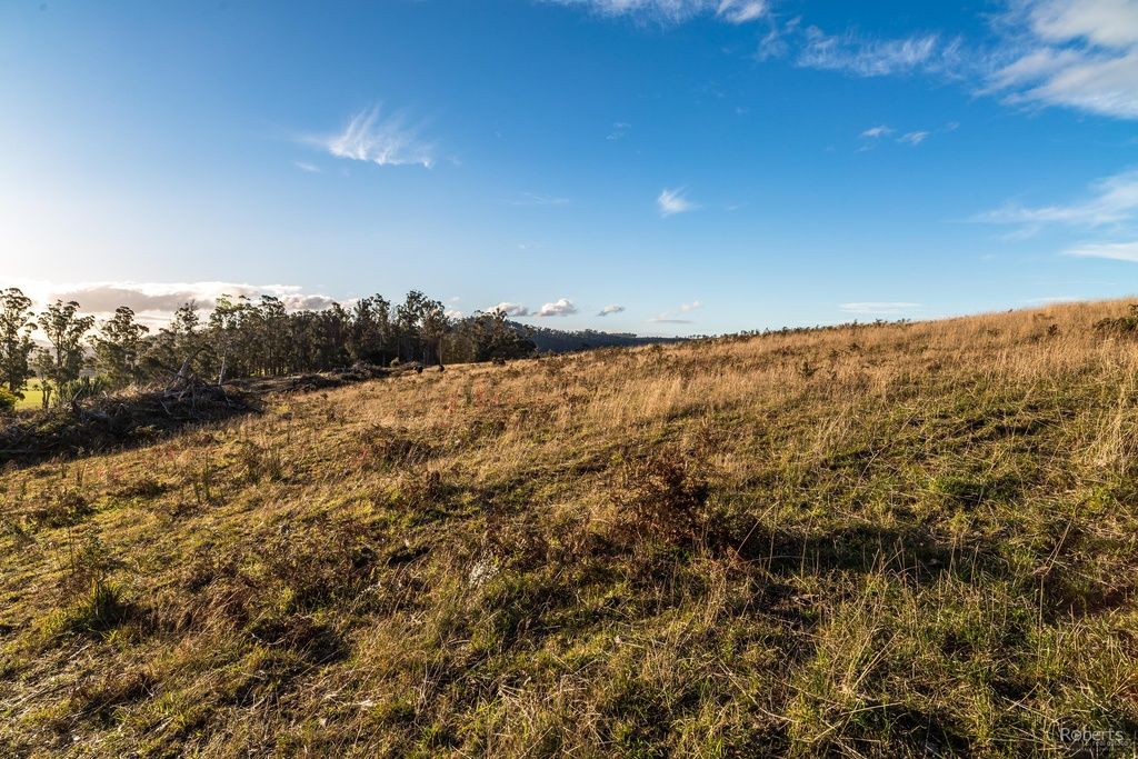 121 Brooks Road, Lalla TAS 7267, Image 2