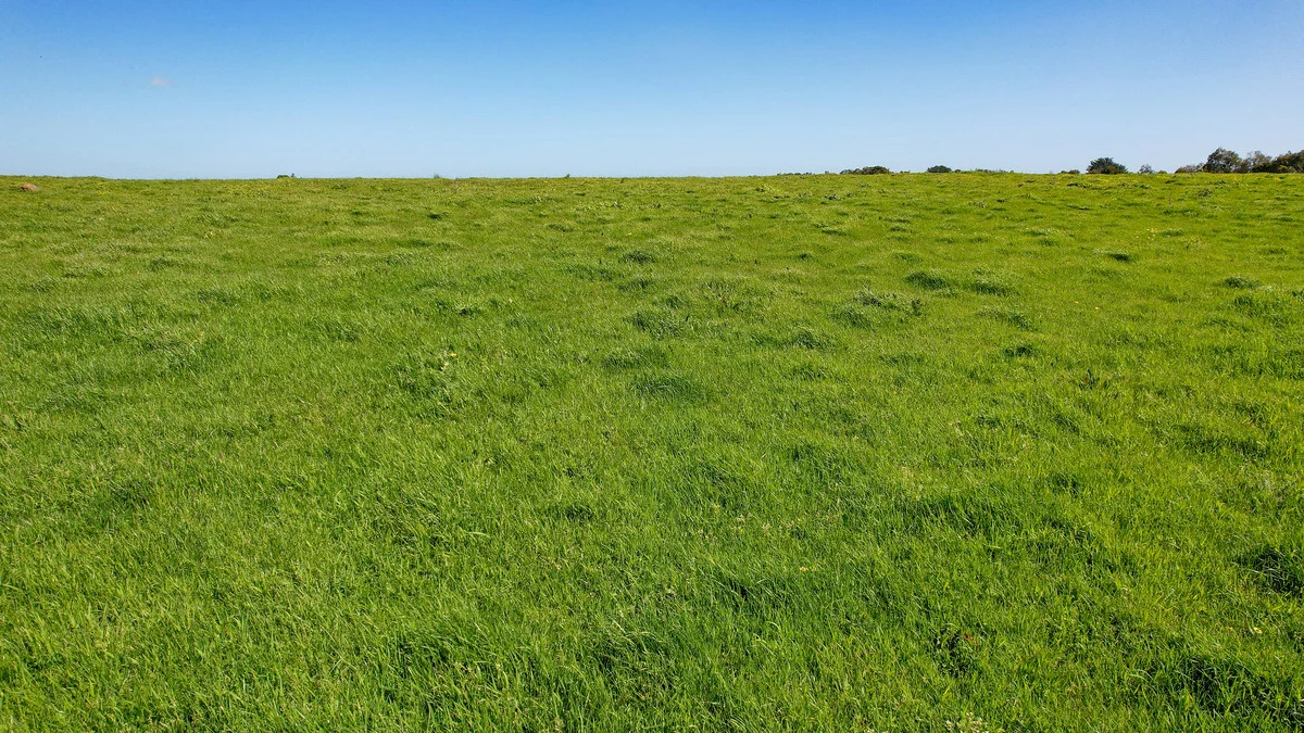 Additional image 35 of 170 Allans Road, Framlingham VIC 3265