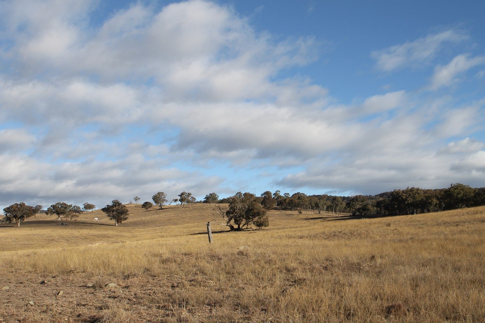 100/1191 Campbells Creek Road, Mudgee NSW 2850, Image 1