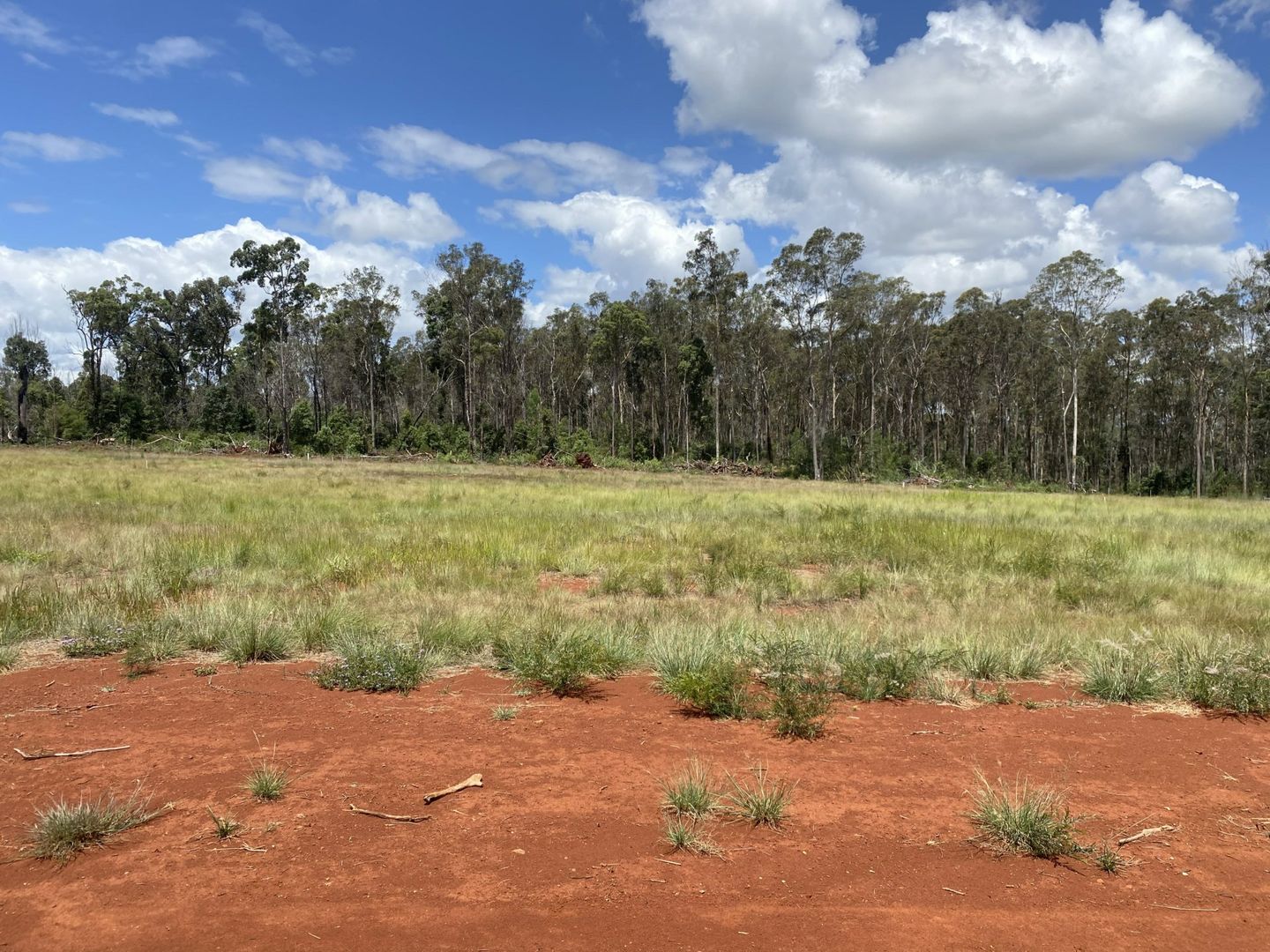 Lot 195 Premier Drive, Kingaroy QLD 4610, Image 1