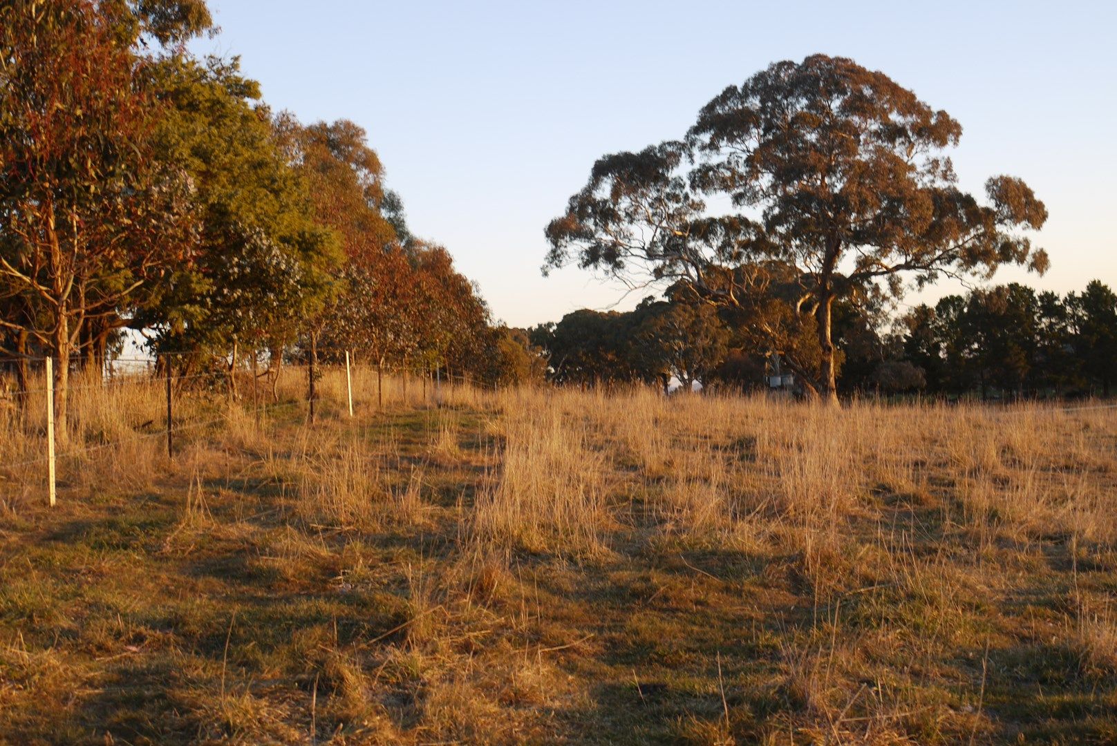 Browns Creek NSW 2799, Image 0