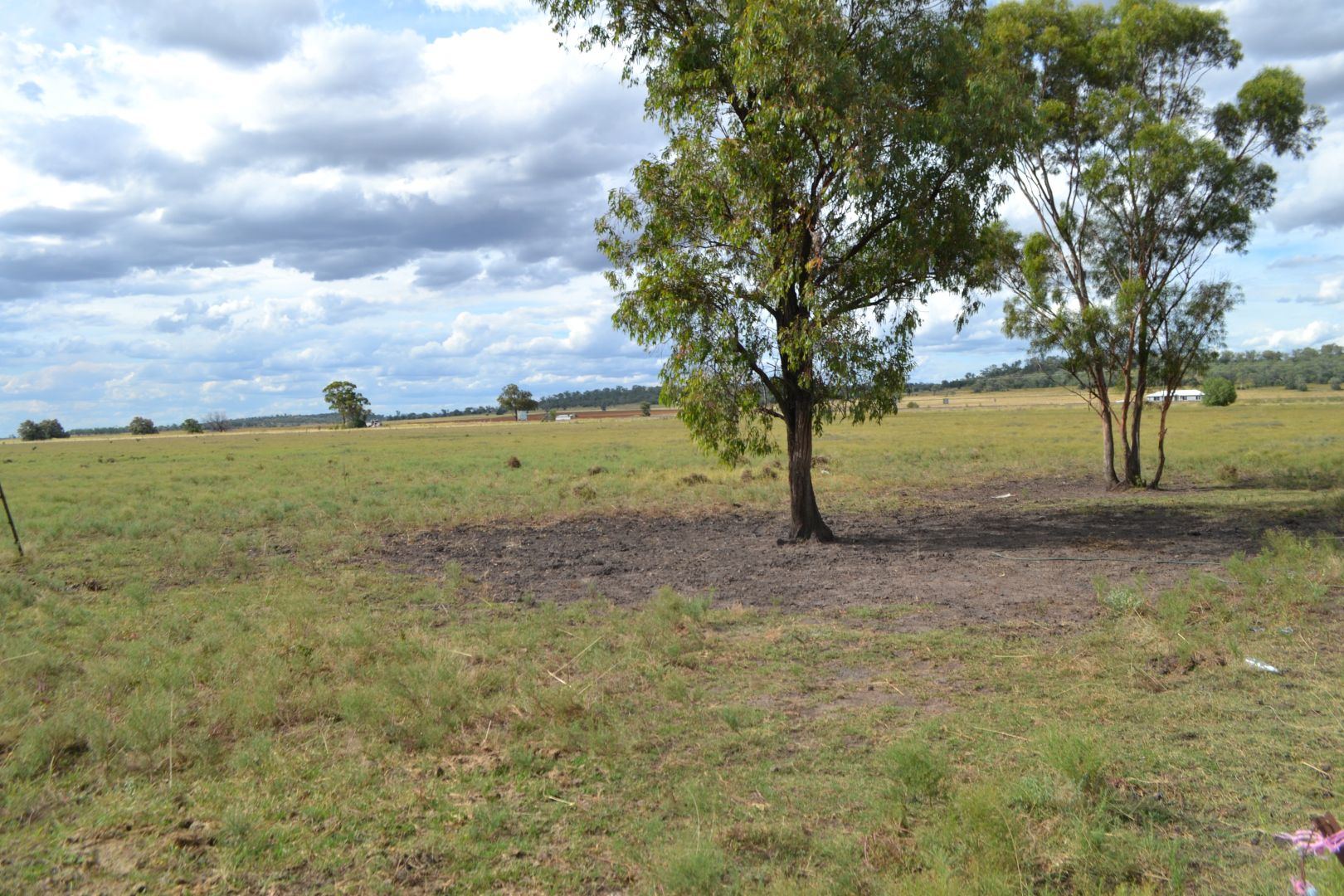 Lot 44,43/0 Warrego Highway, Jondaryan QLD 4403, Image 2