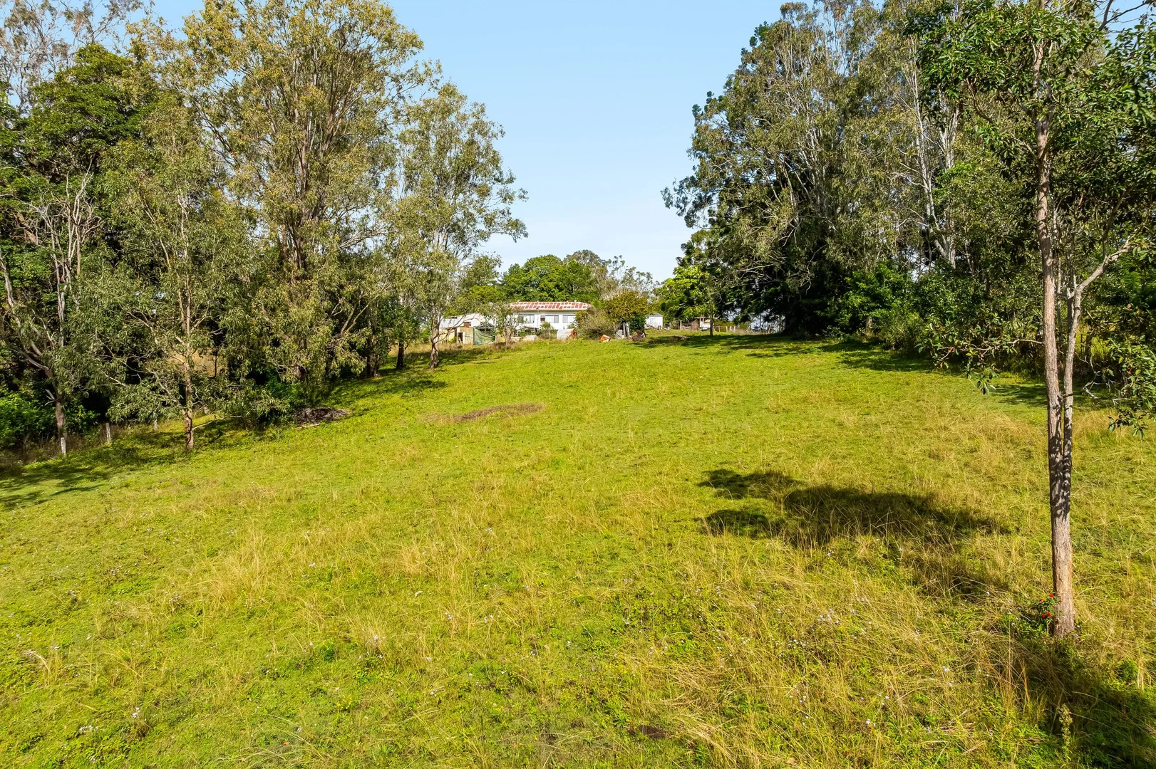Image 17