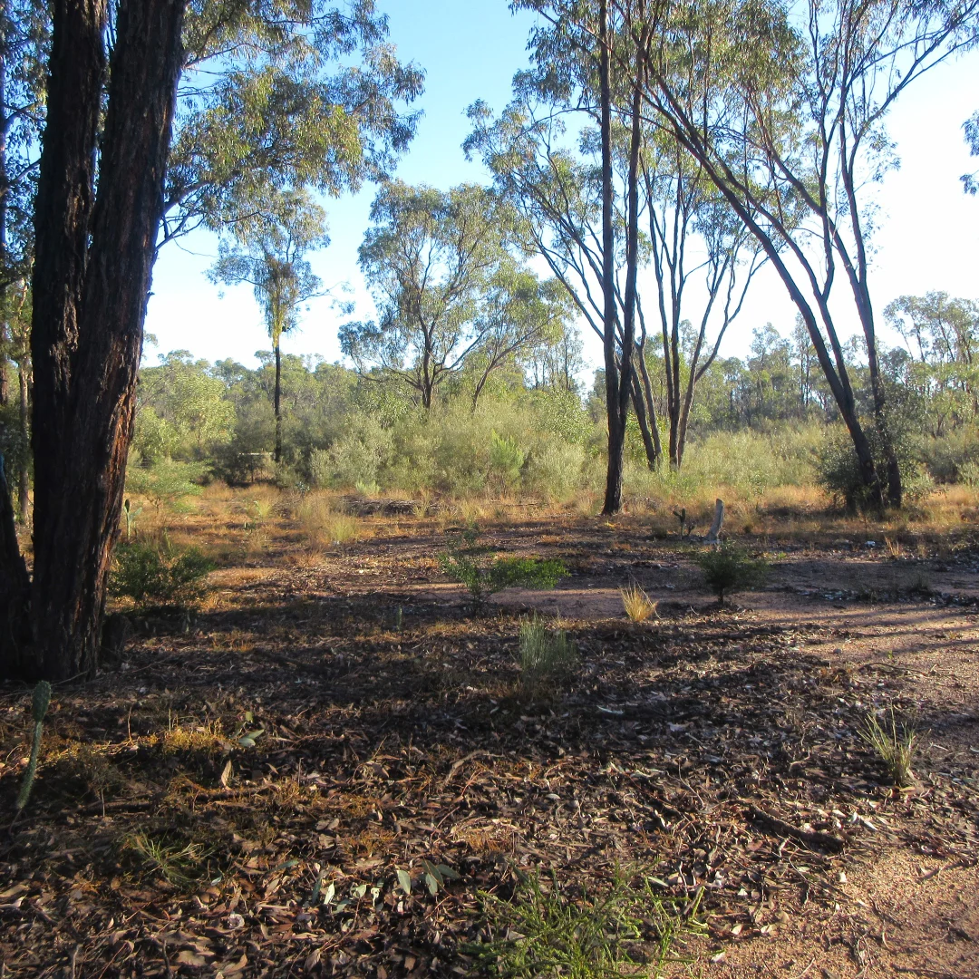 Additional image 9 of Tara QLD 4421