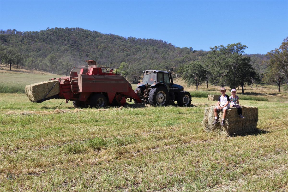 Lot 102 Duck Creek Road, Kerry QLD 4285, Image 1