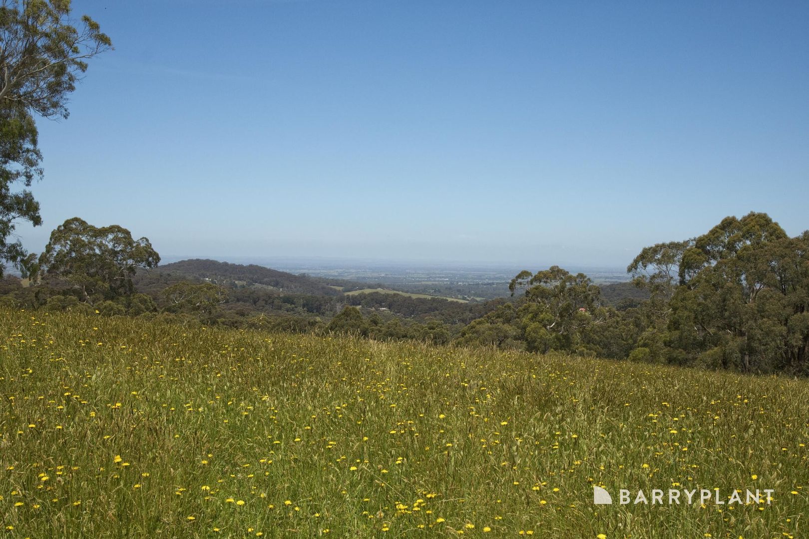 230 Mount Eirene Road, Gembrook VIC 3783, Image 2