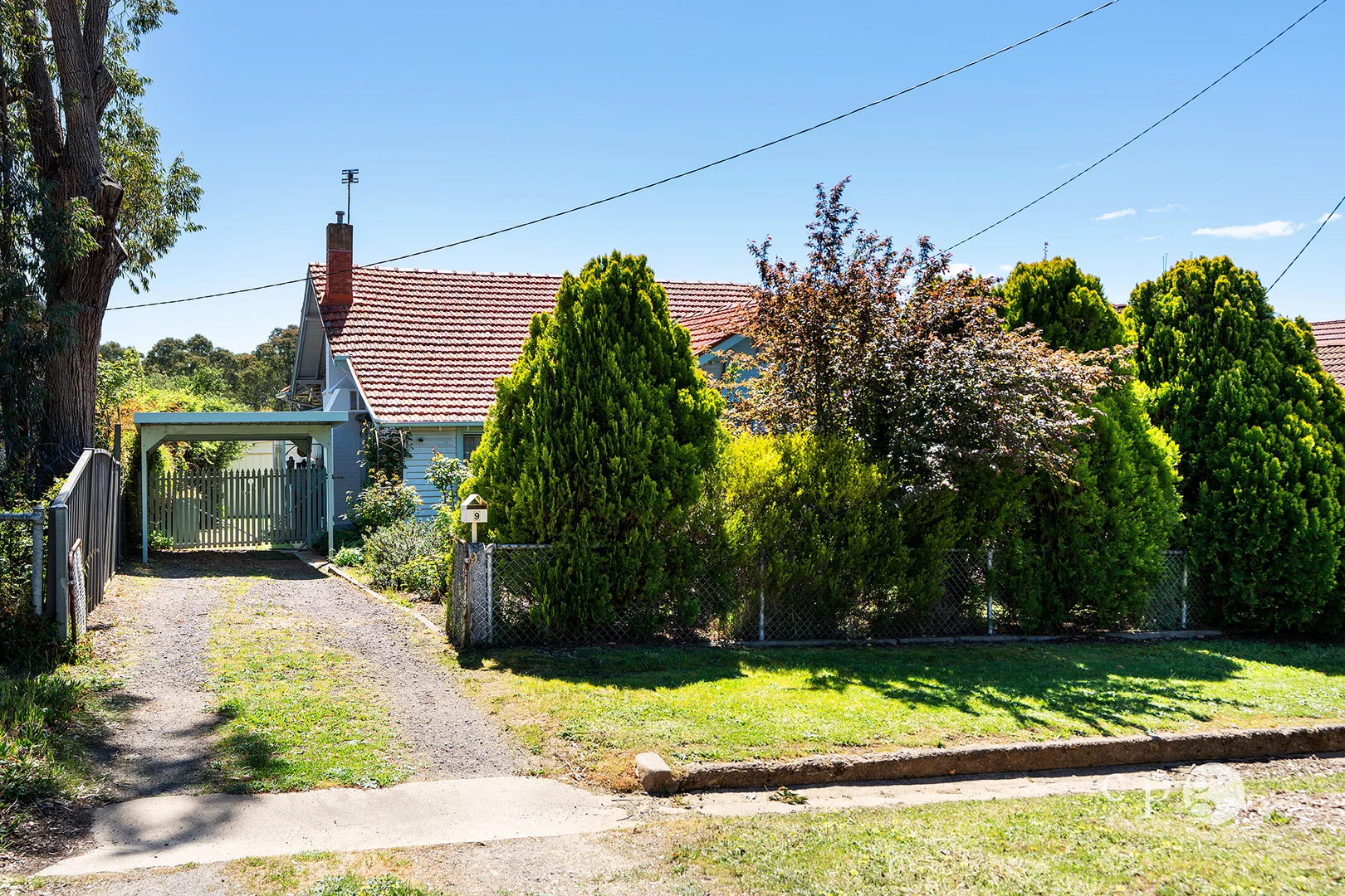 Image 13