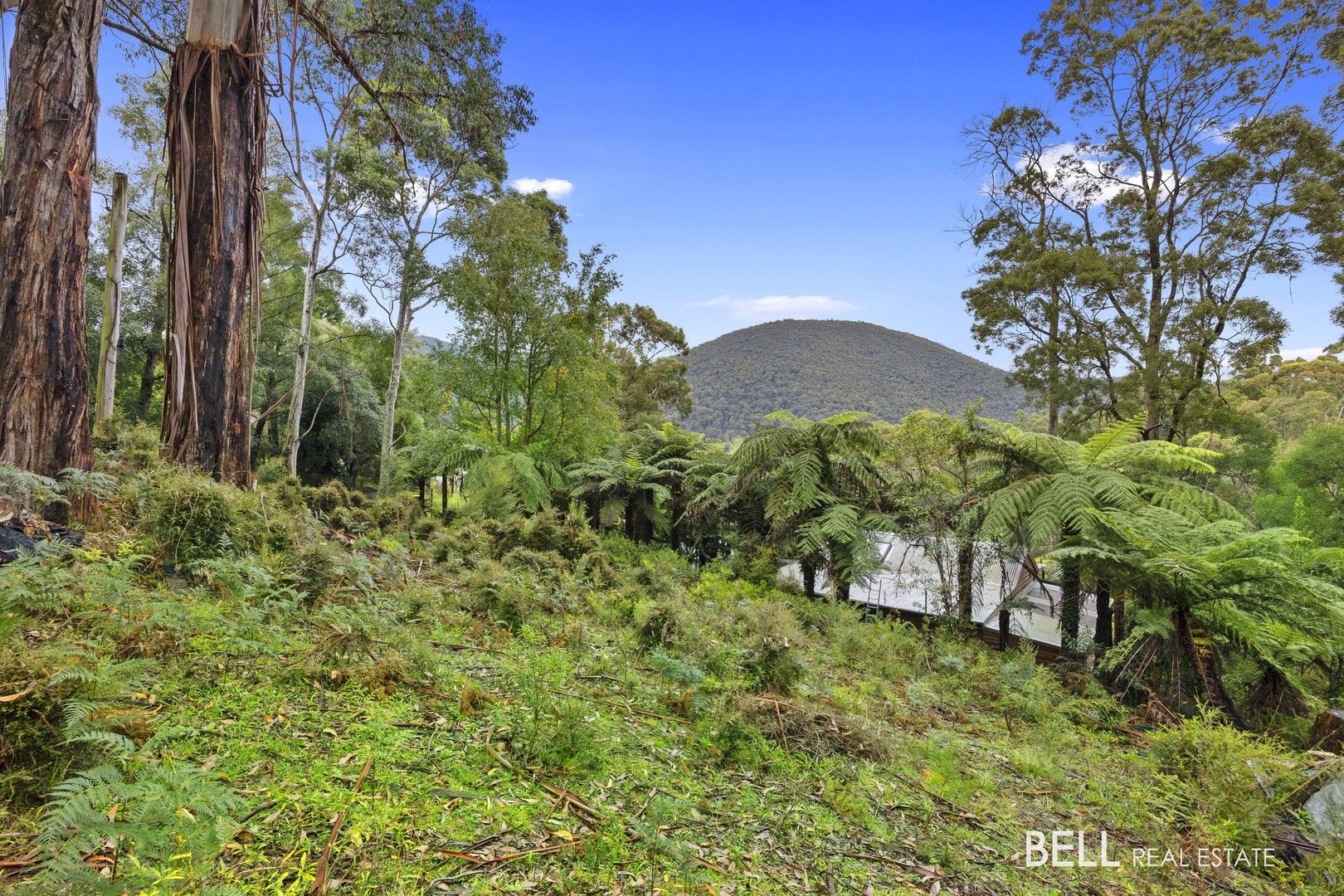 2 Essex Street, Warburton VIC 3799, Image 0