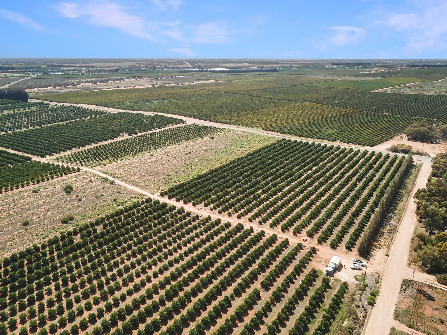 Additional image 6 of Lot 80 Foster Road, Sunlands SA 5322