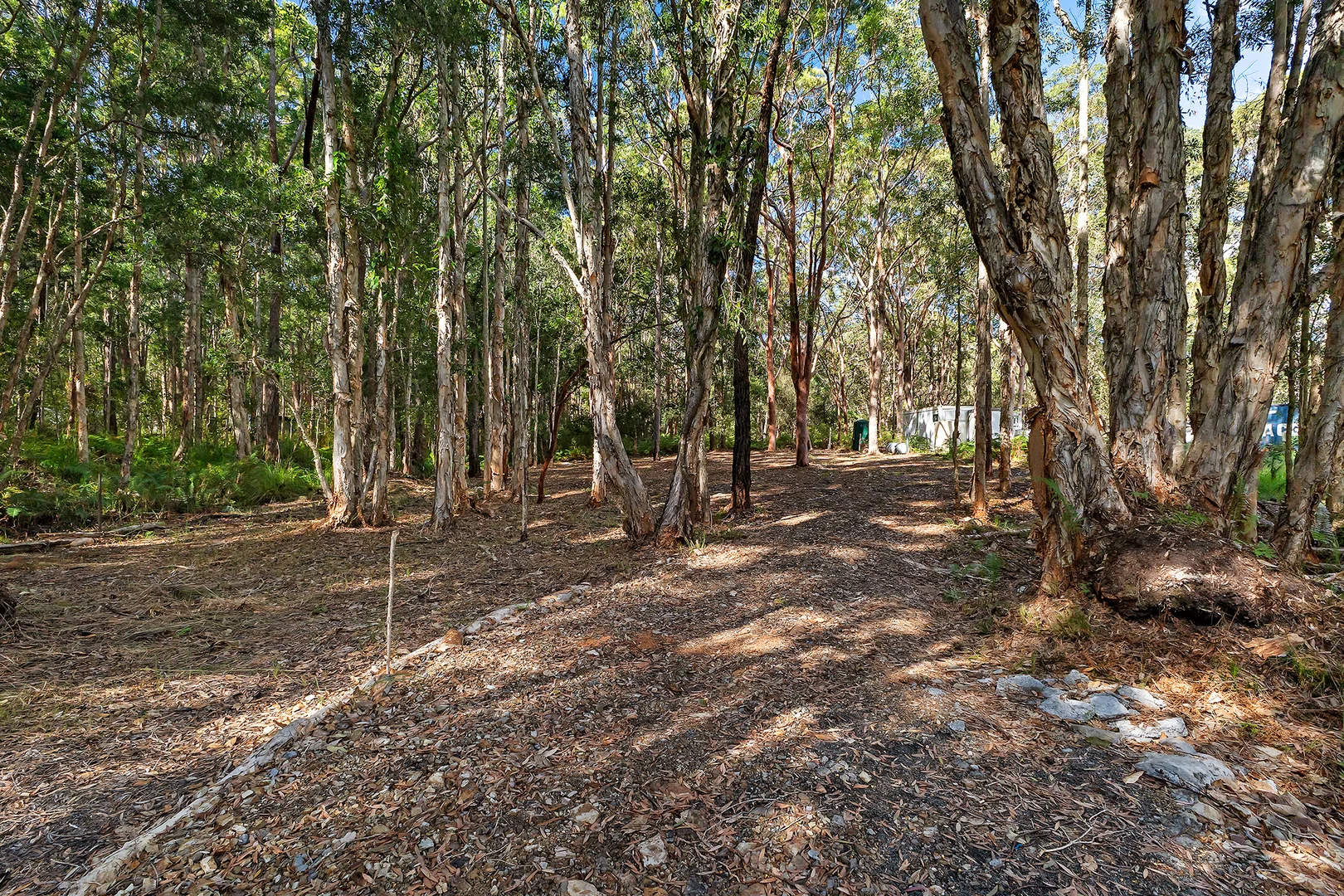Image 10