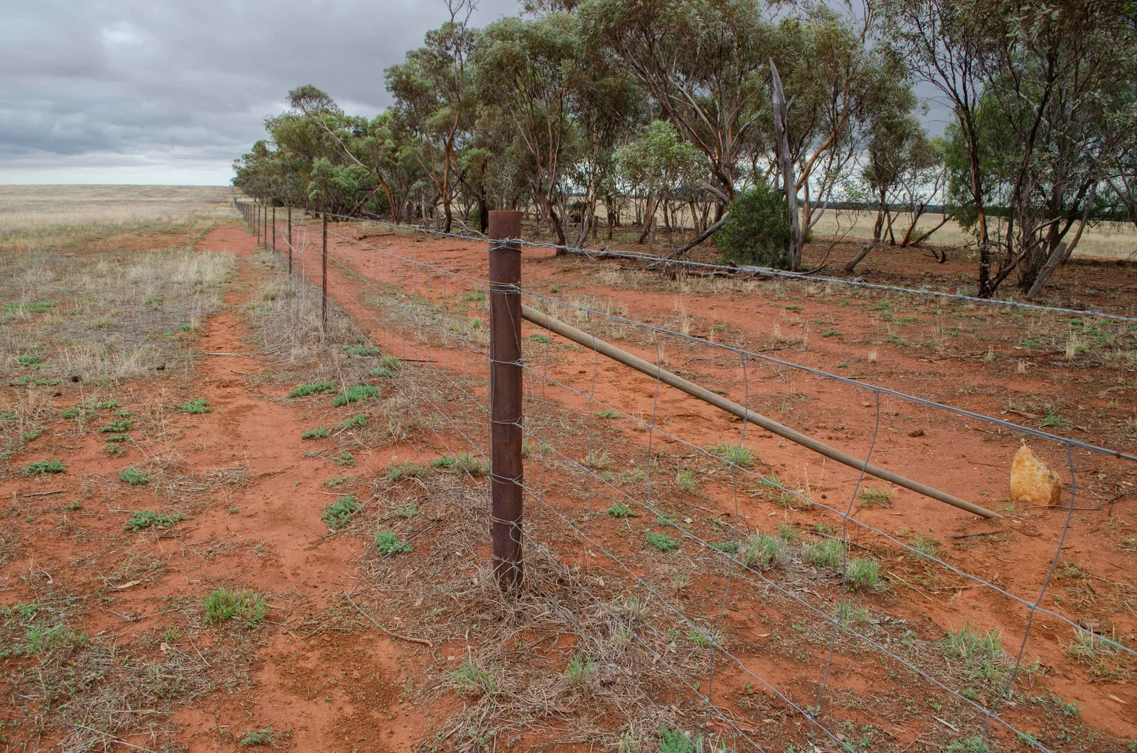 Additional image 11 of 83 Cornells Road, Condobolin NSW 2877