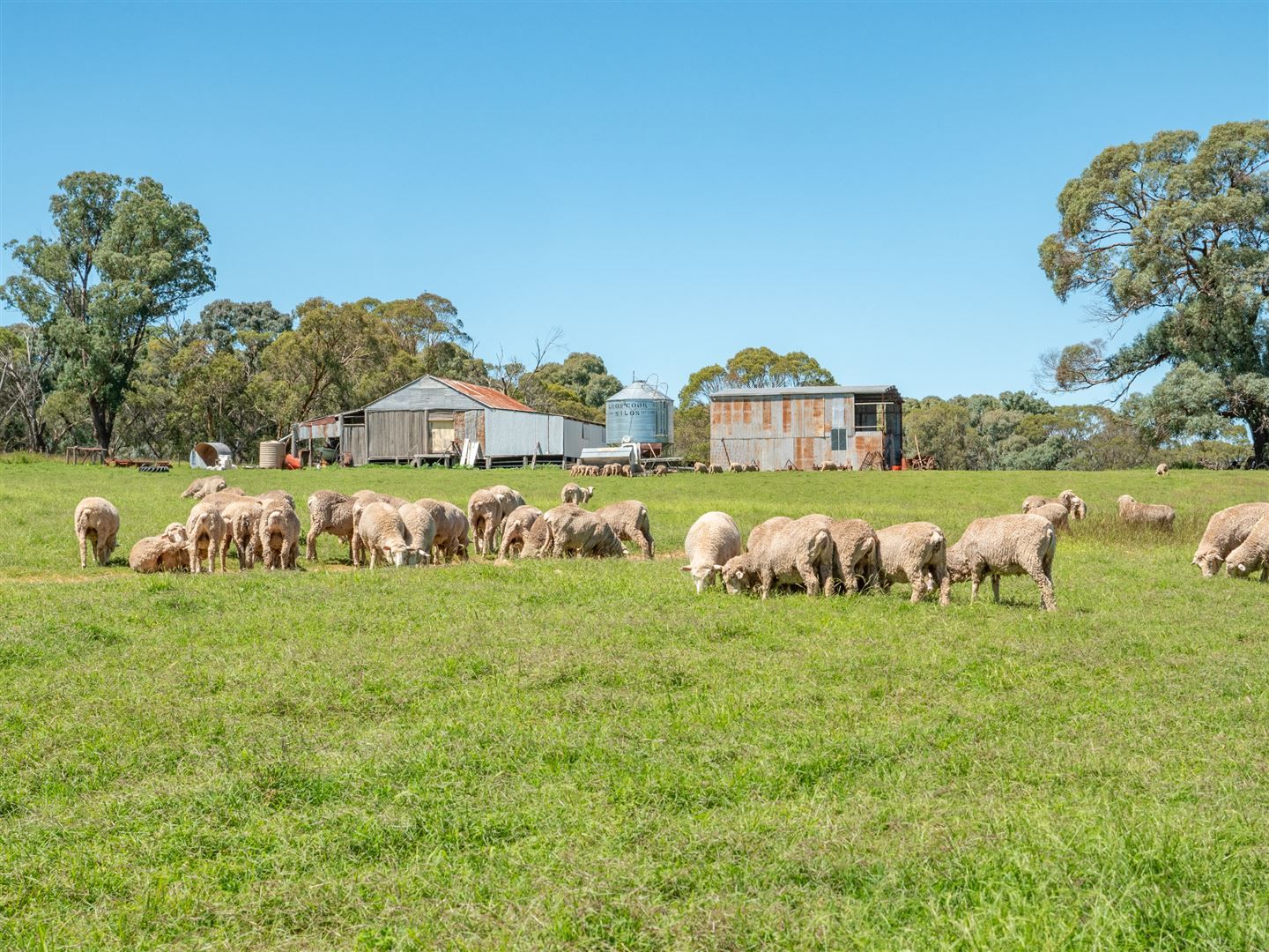 Walcha NSW 2354, Image 1