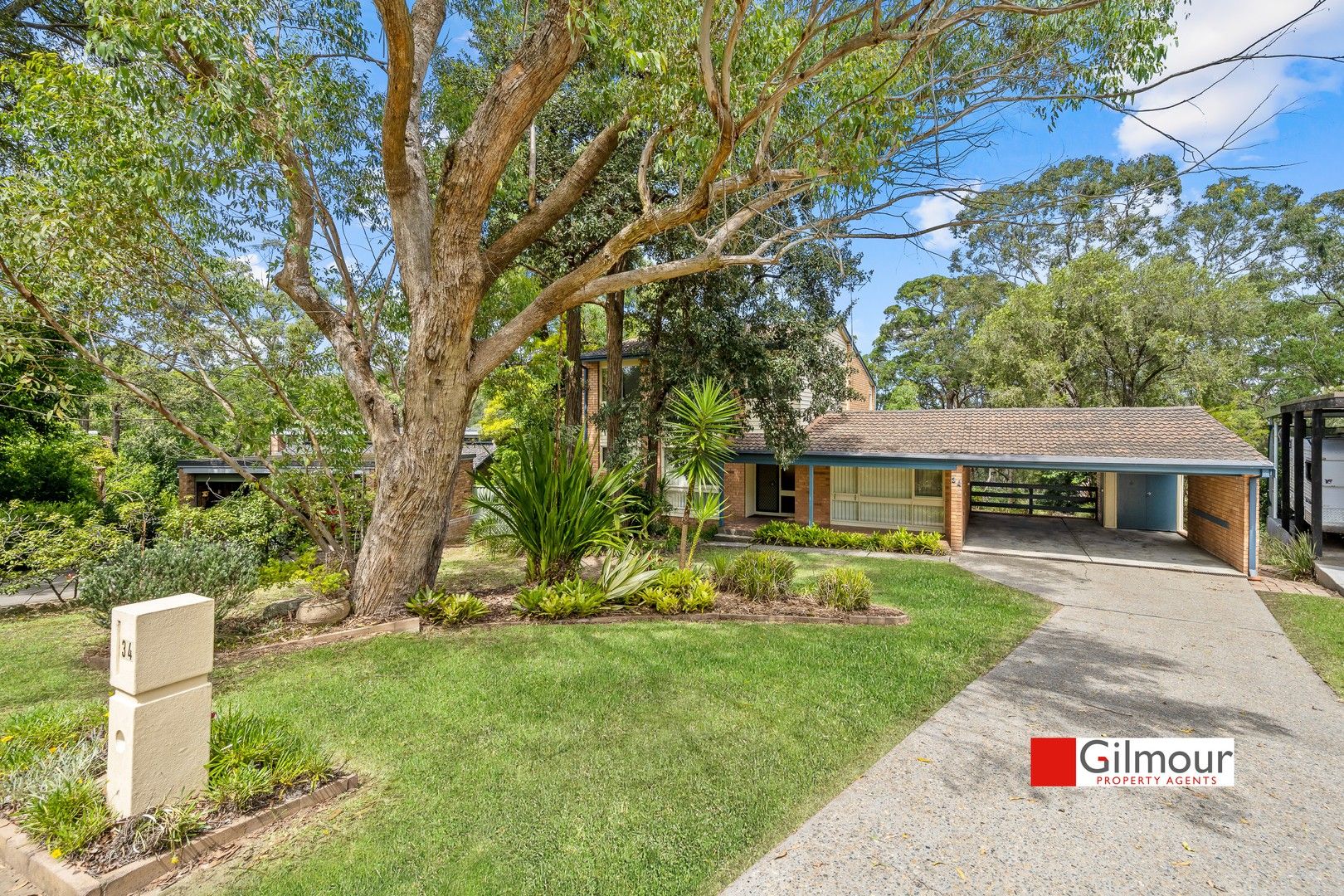 34 Sophia Crescent, North Rocks NSW 2151 Domain