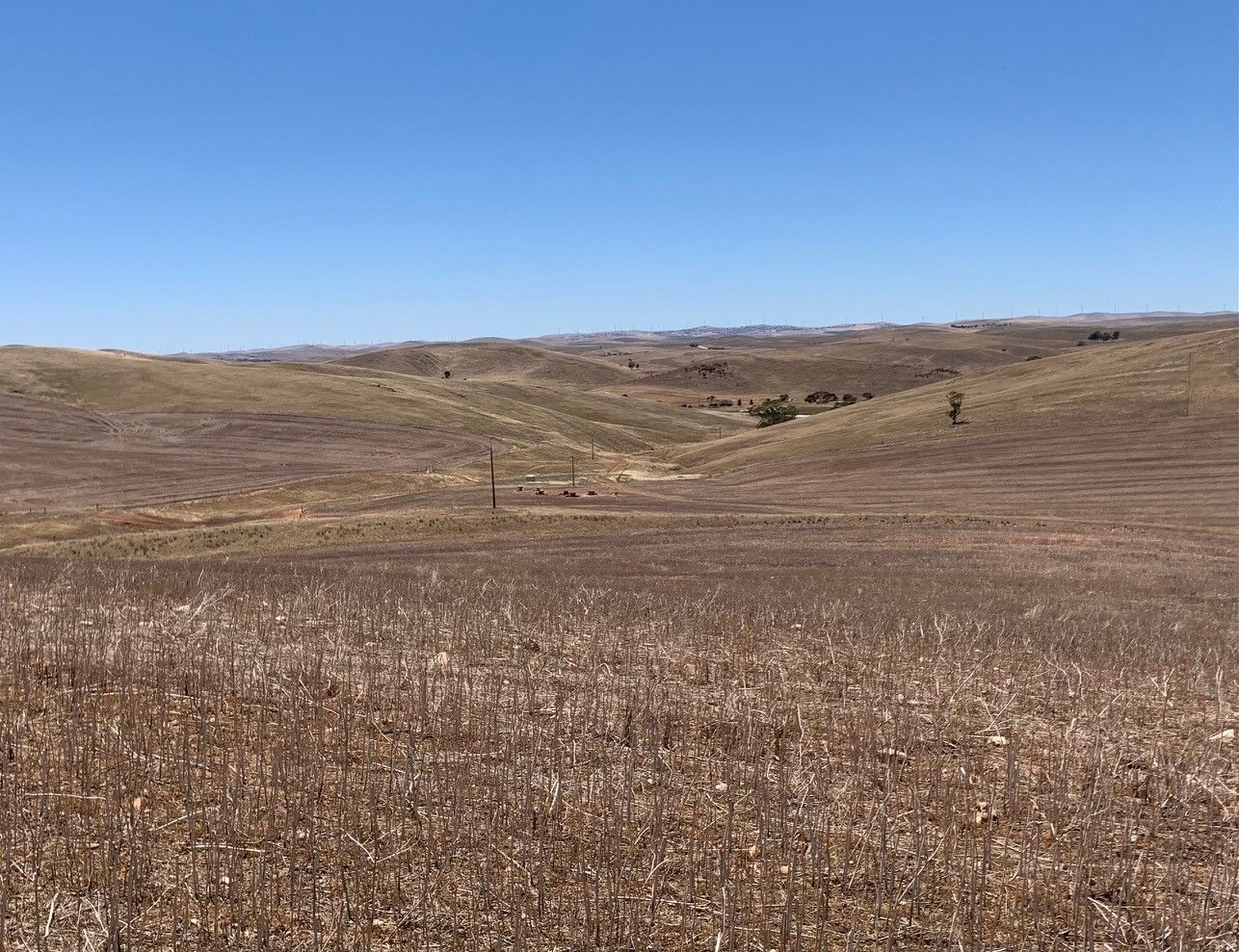 Goyder Highway, Spalding SA 5454 - House for Sale | Domain