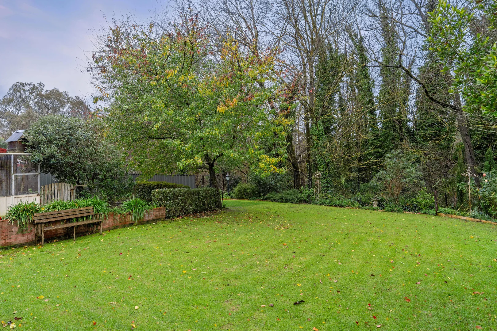 Image 29