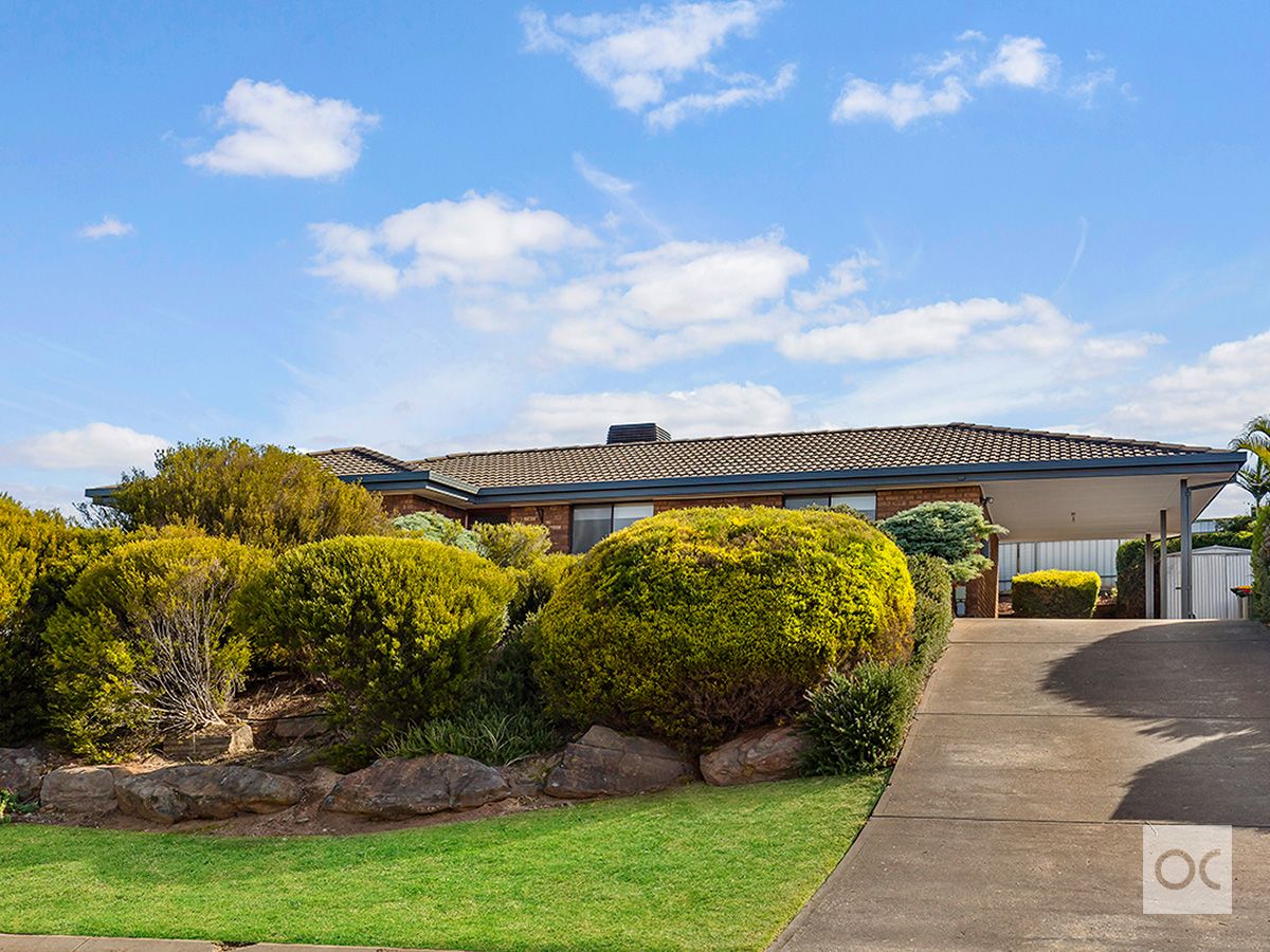 12 Jaycee Street, Modbury North SA 5092, Image 0