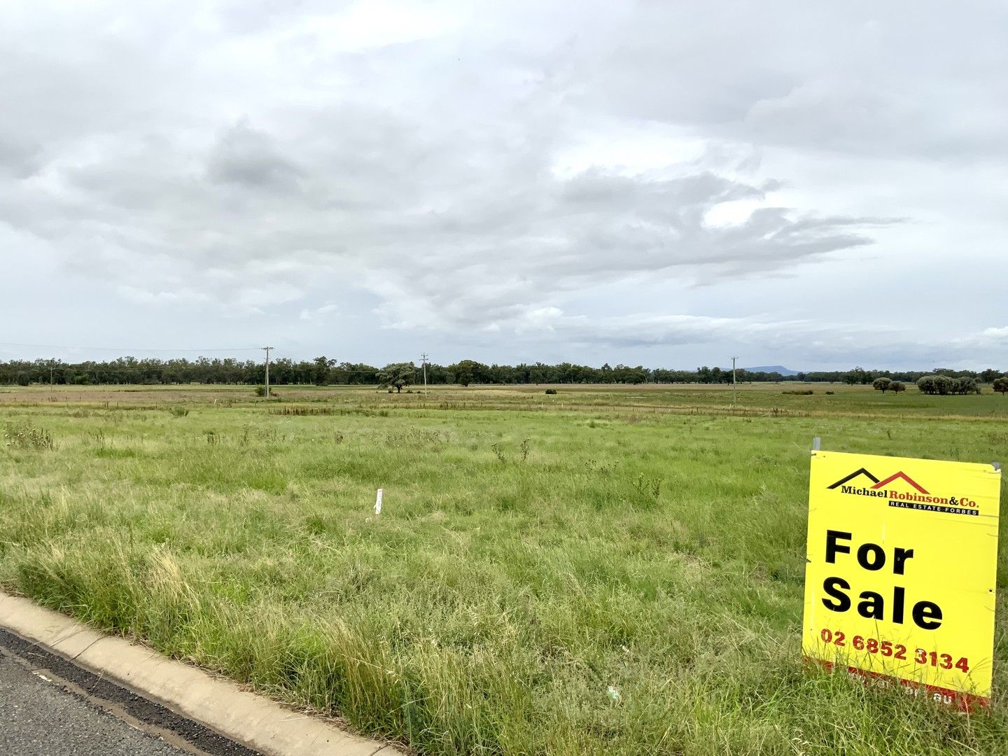 Lot 604 Limousin Street, Forbes NSW 2871 Domain