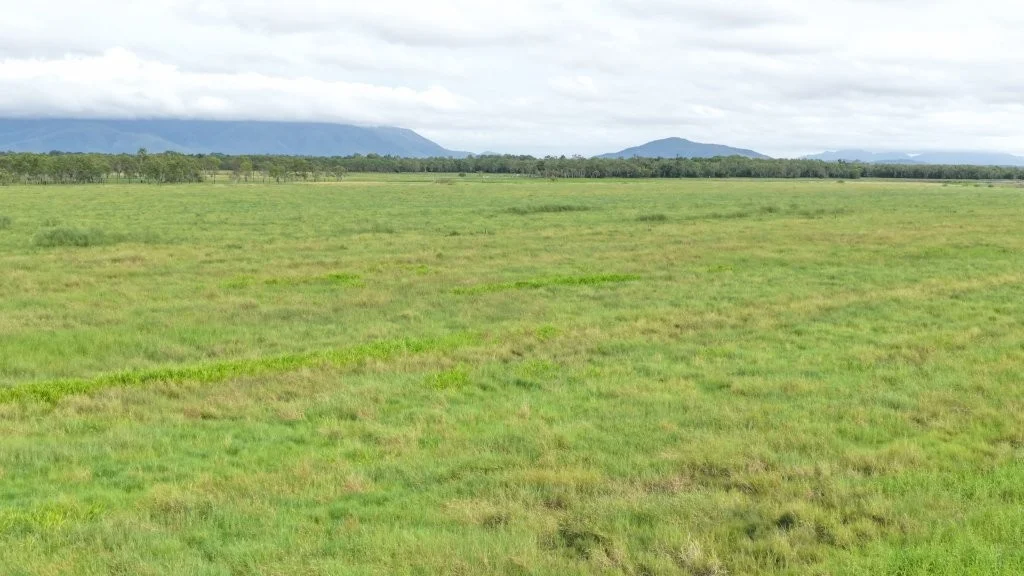 Additional image 18 of 3 Comiskey Road, Giru QLD 4809