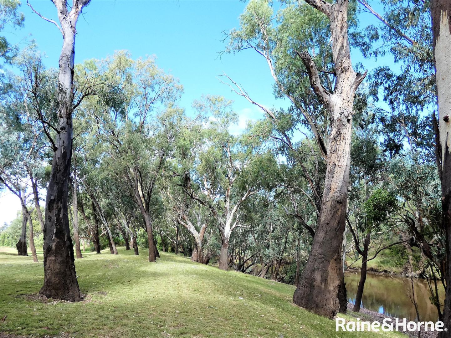 "Belltrees" Boobialla Road, Moree NSW 2400, Image 2