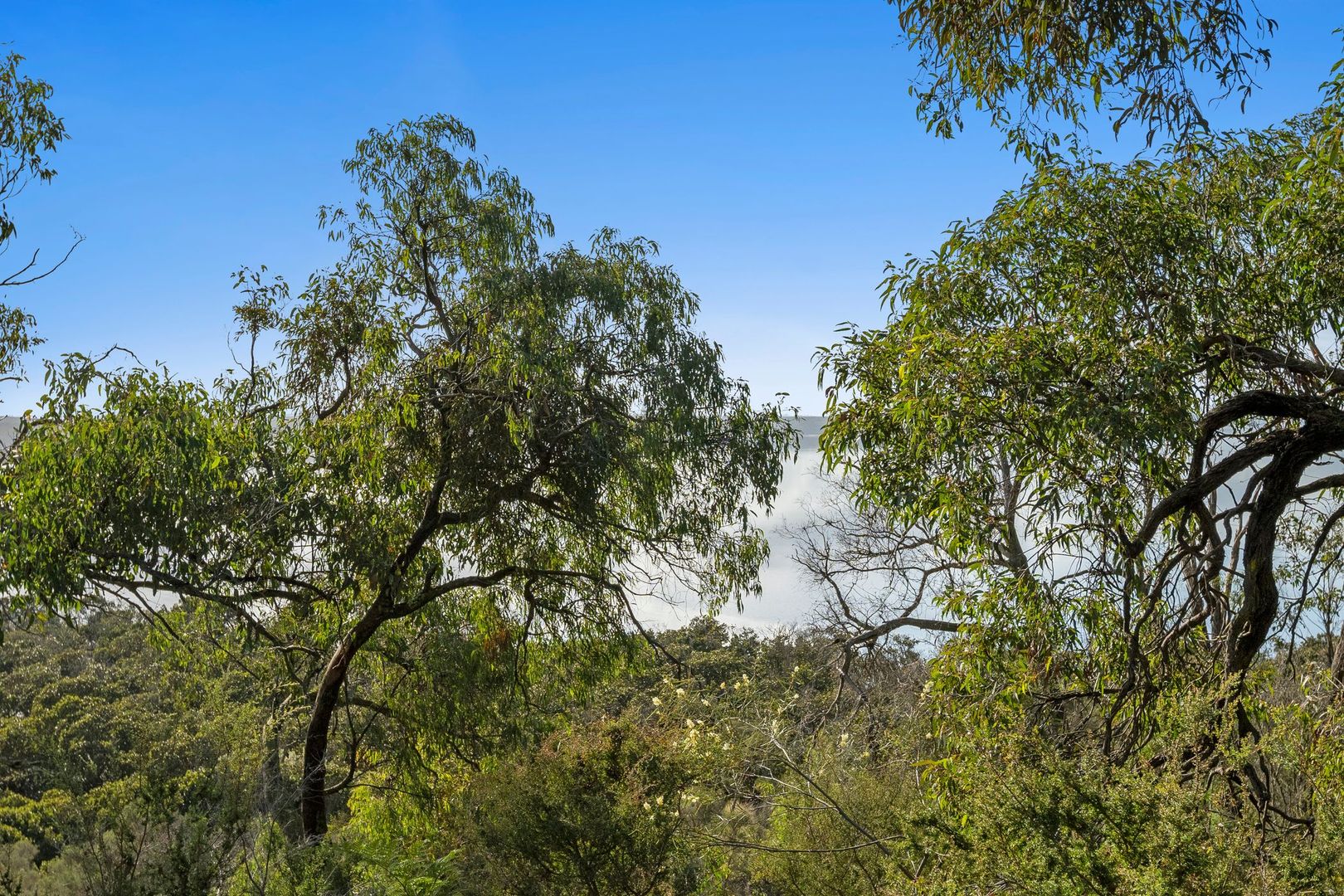 39 Barge Access Road, French Island VIC 3921 Domain