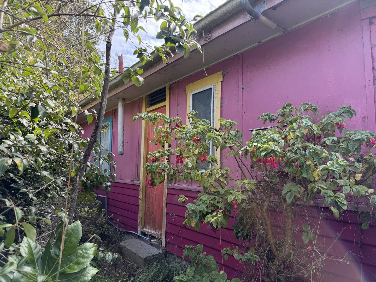 642 Mount Stanley Road, Lymwood TAS 7256