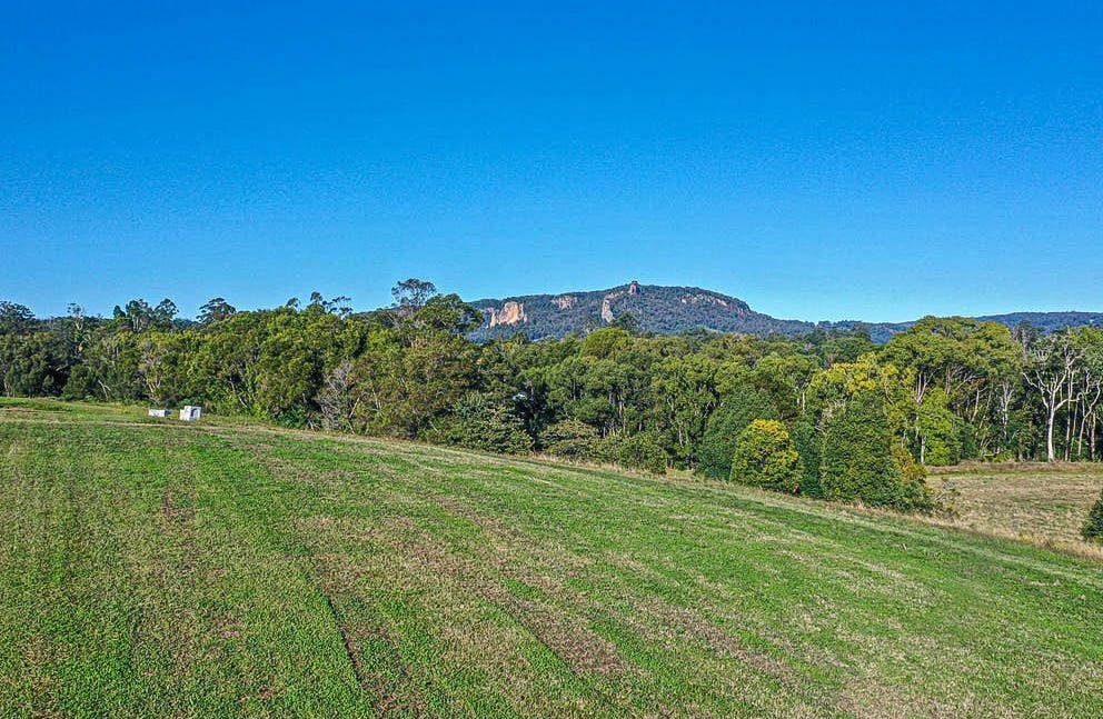 24/4 Blue Knob Rd, Nimbin NSW 2480 Domain