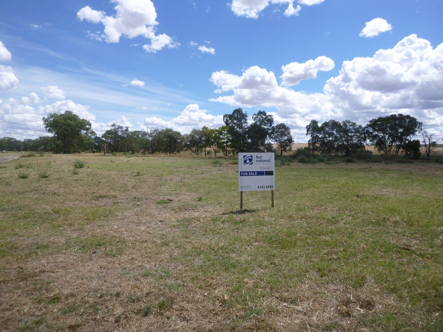 Lot 8 Griffith Street, Greenethorpe NSW 2809, Image 0