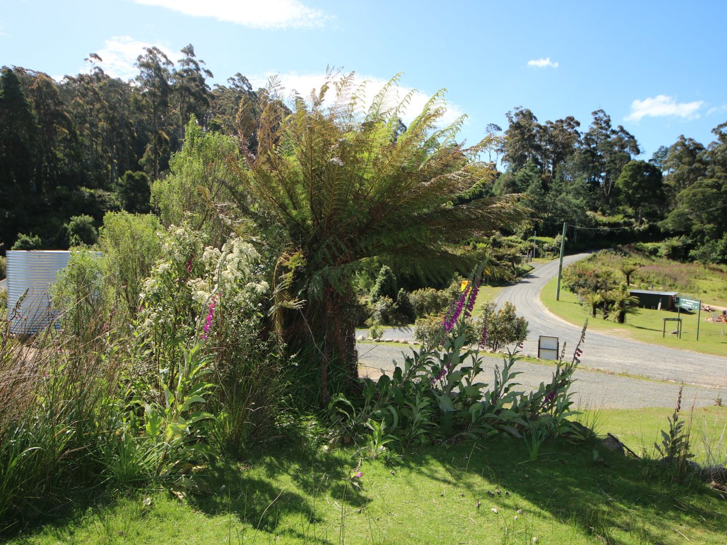 833 Lottah Road, Lottah TAS 7216, Image 1