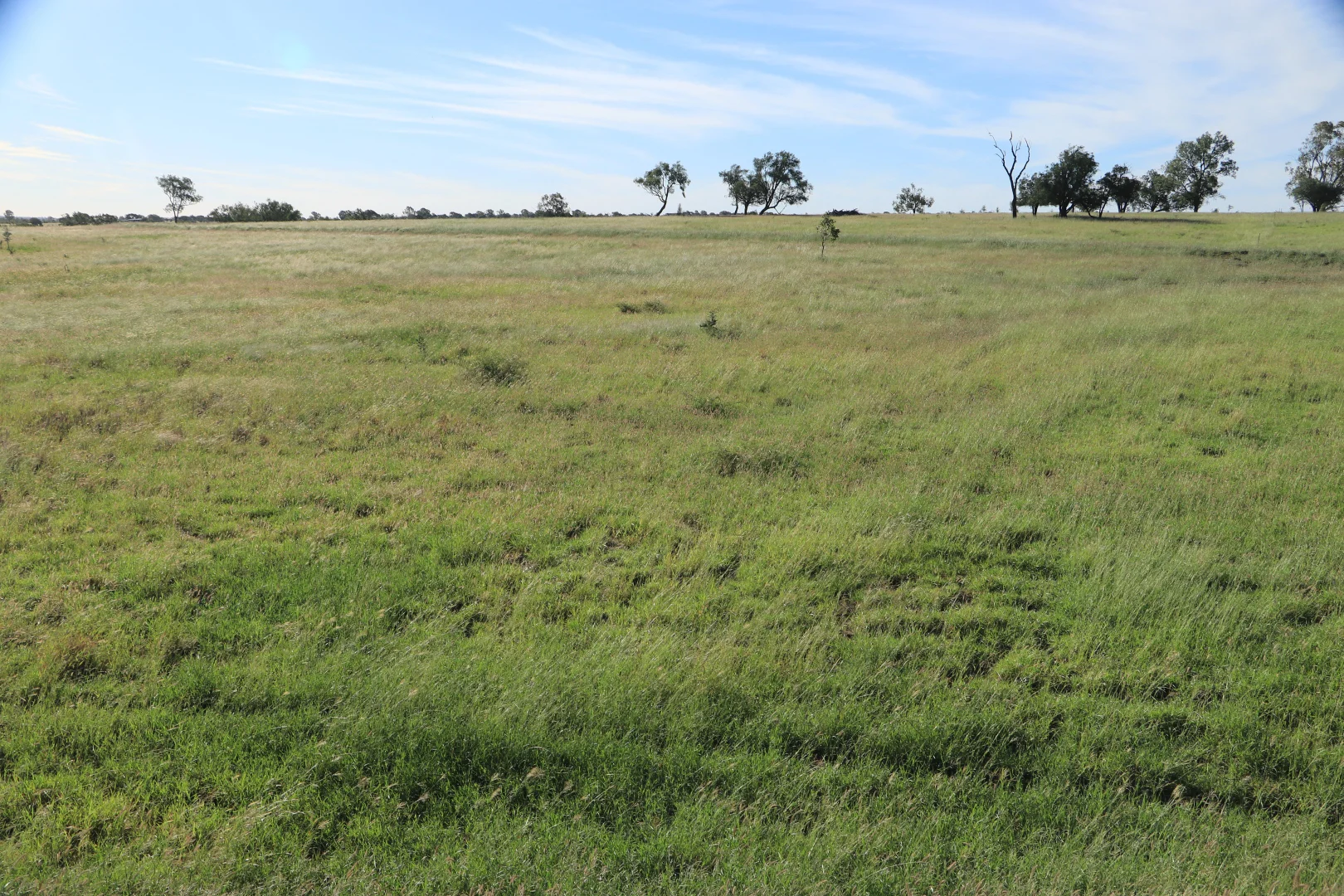 Additional image 25 of Roma QLD 4455