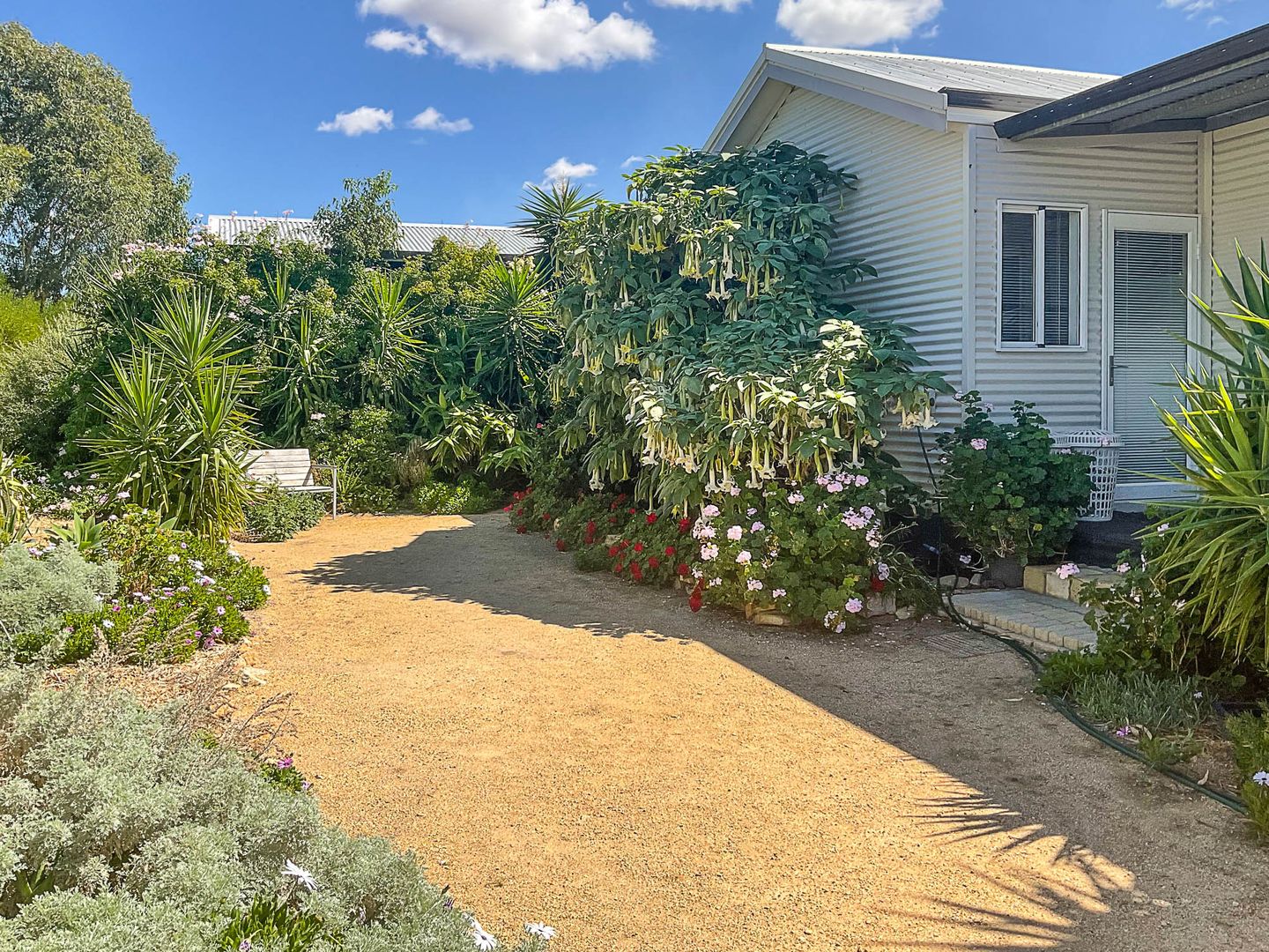 462 KellerberrinYoting Road, Kellerberrin WA 6410 Domain